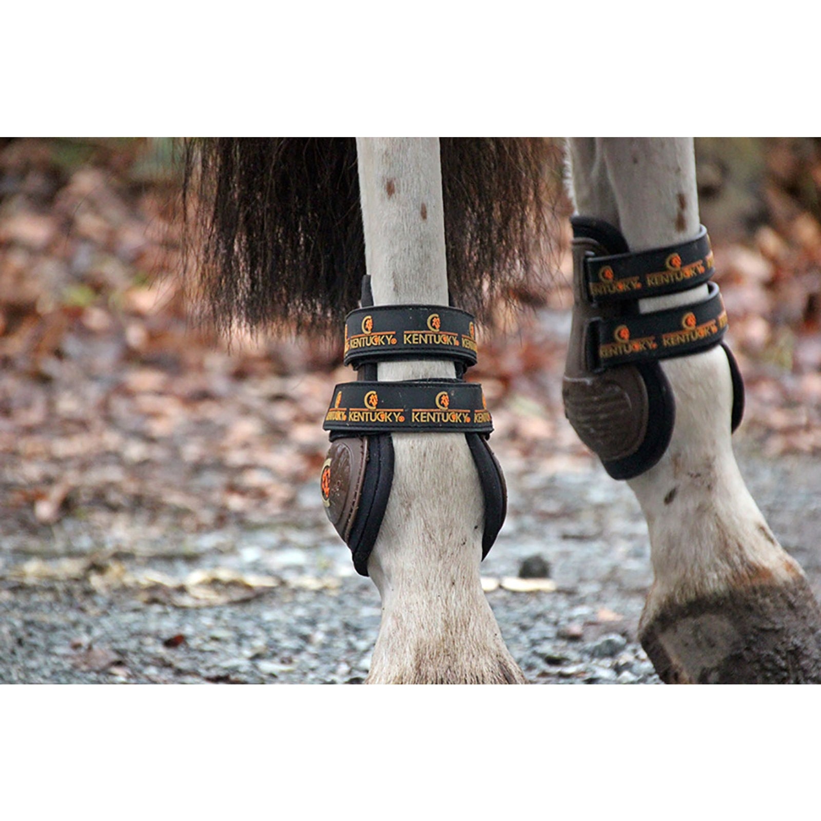 Kentucky Horsewear Armadillo Aero Moonboots Max Leg & Hoof Protection