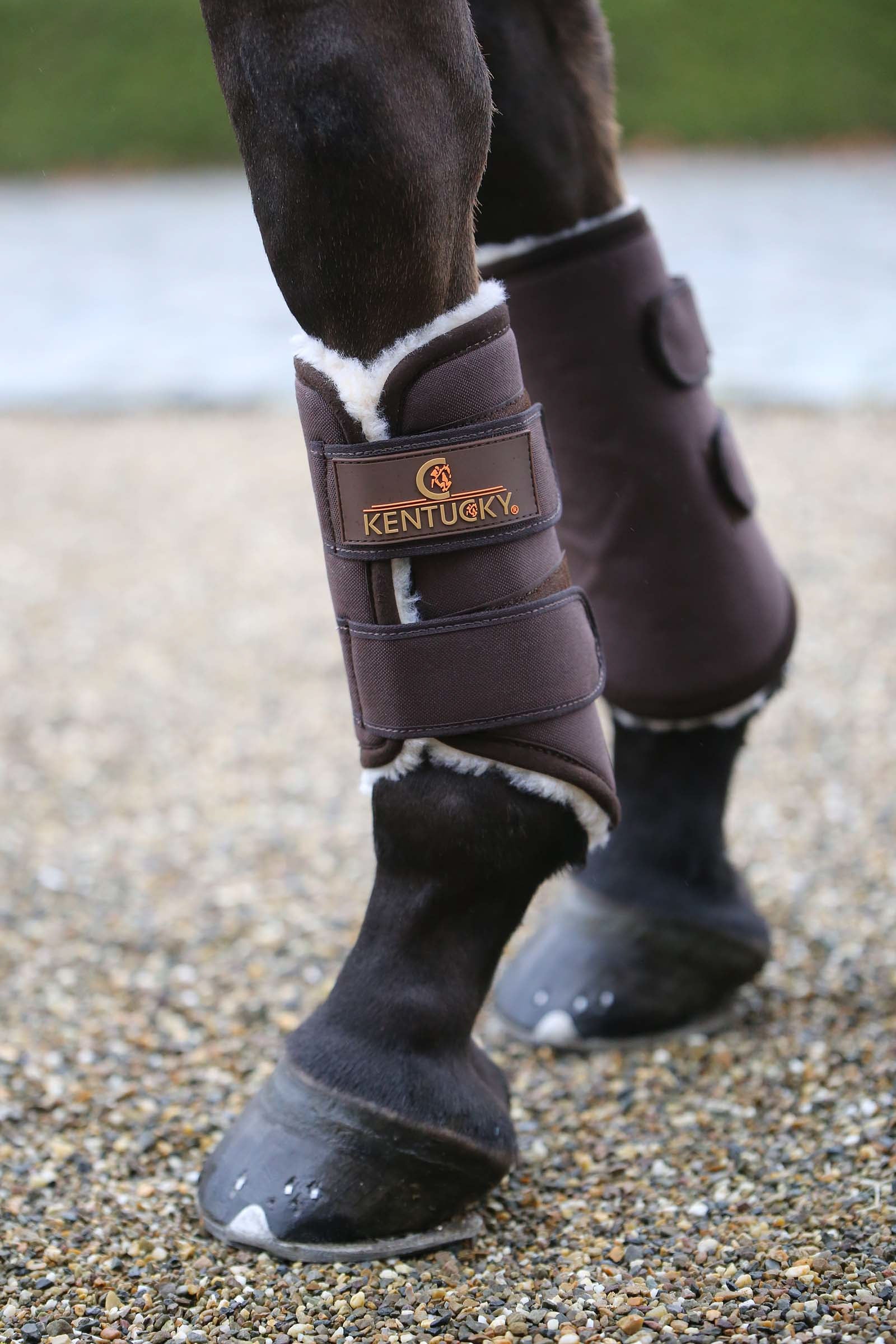 Kentucky Horsewear Solimbra Turnout Boots, Front Leg Protection & Hoof Protection for Horses