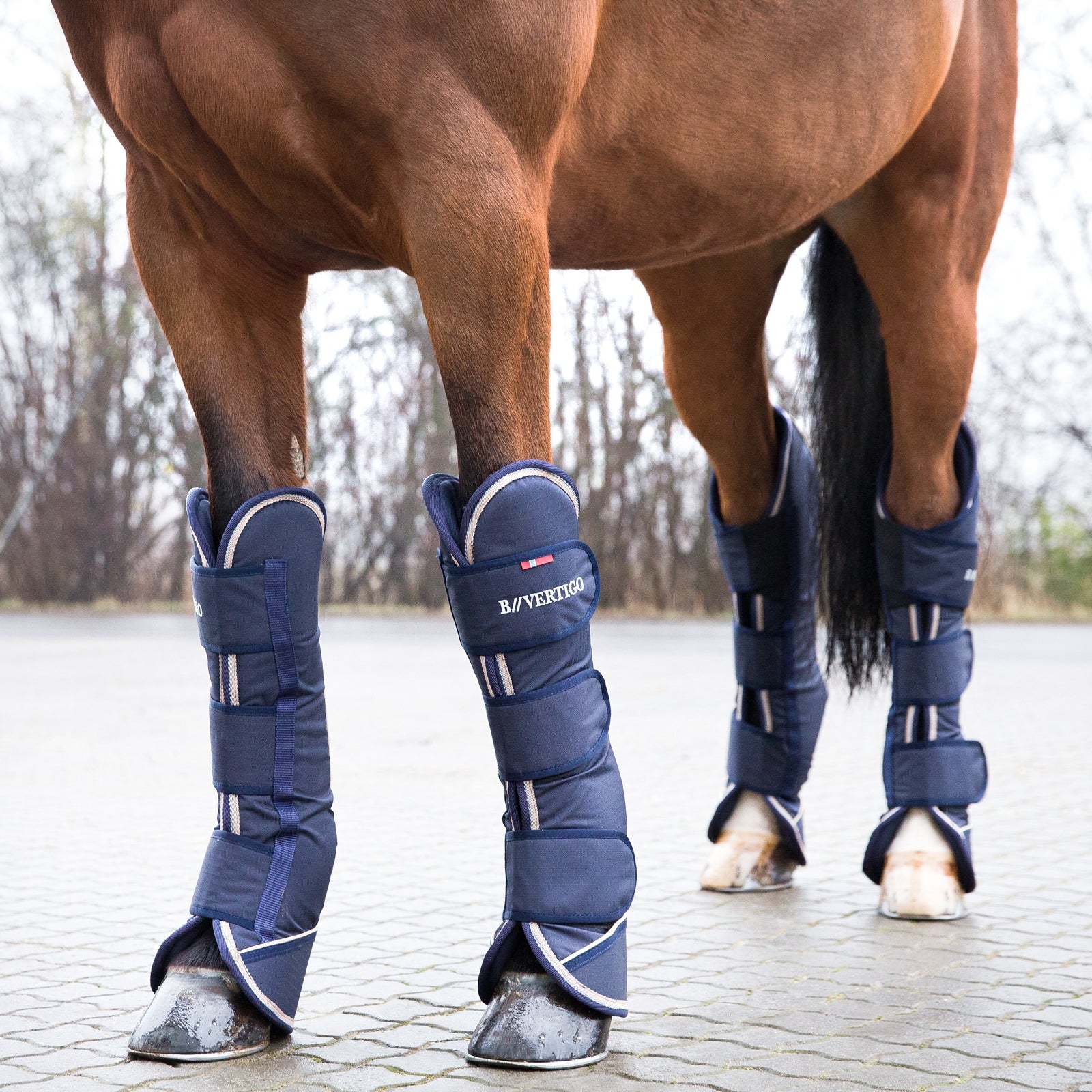 B Vertigo Bristol Travel Boots Leg & Hoof Protection