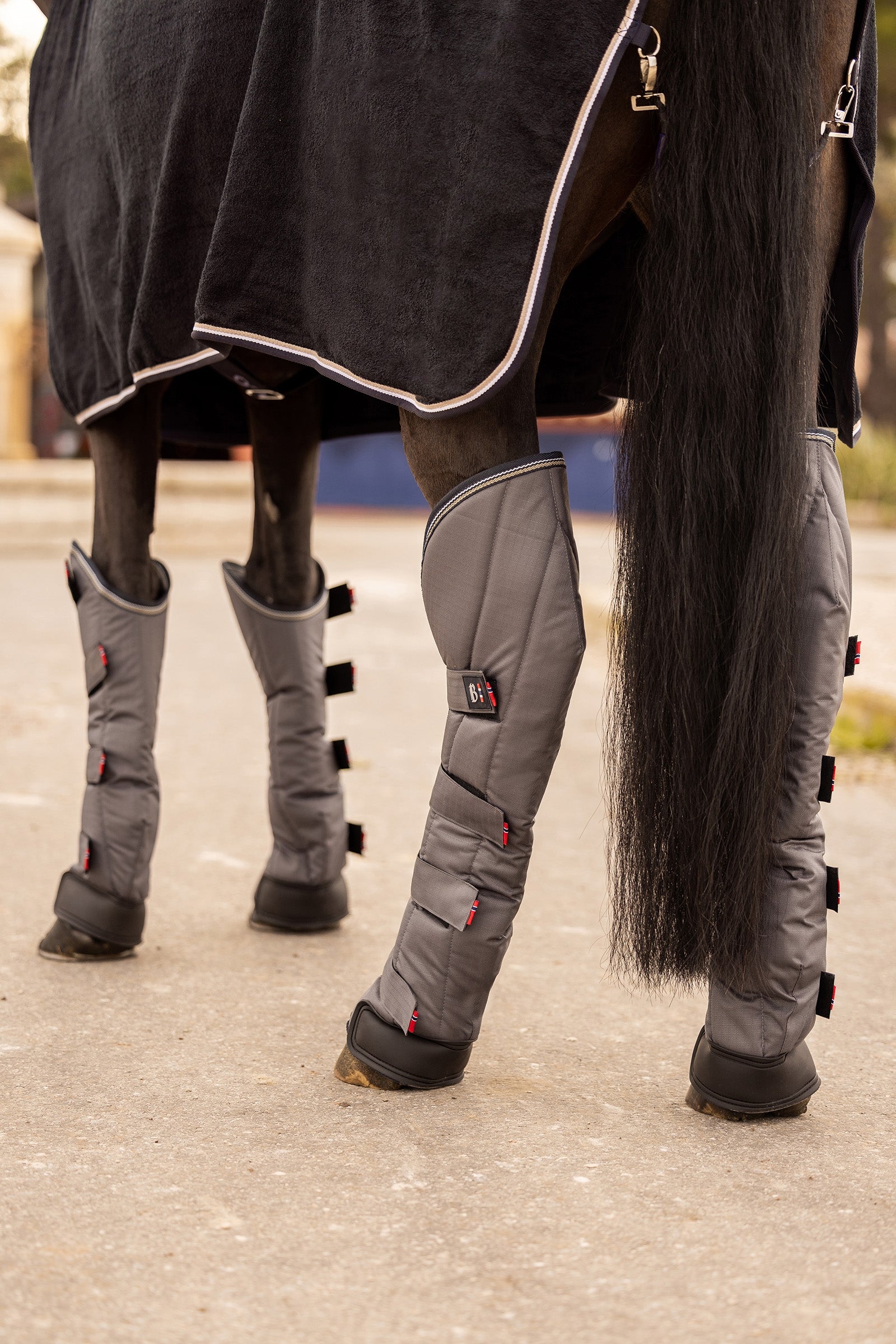 B Vertigo Wellington Shipping Boots (Set of 4) Leg & Hoof Protection