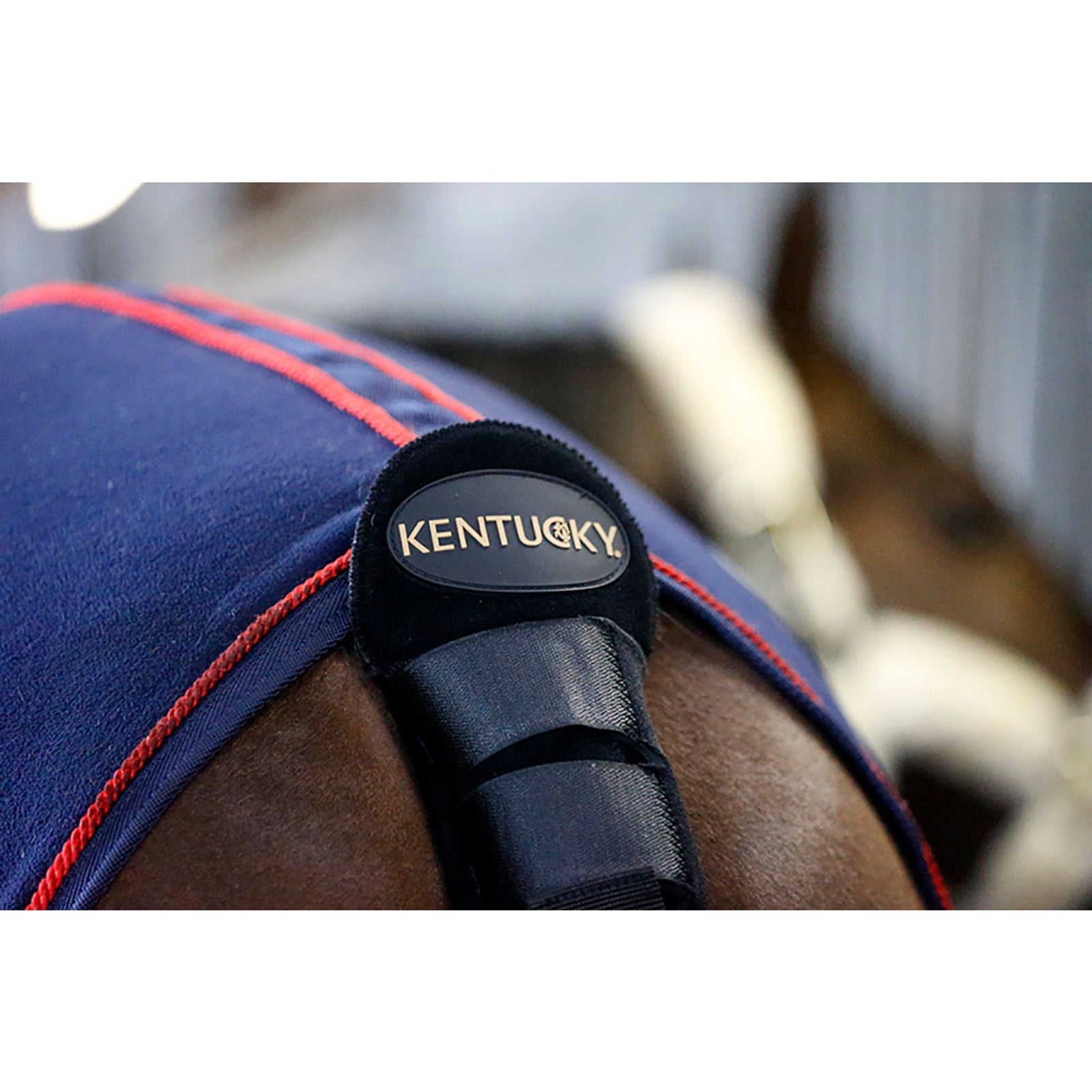 Kentucky Horsewear Tail Guard / Tail Bag Leg Protection & Hoof Protection for Horses