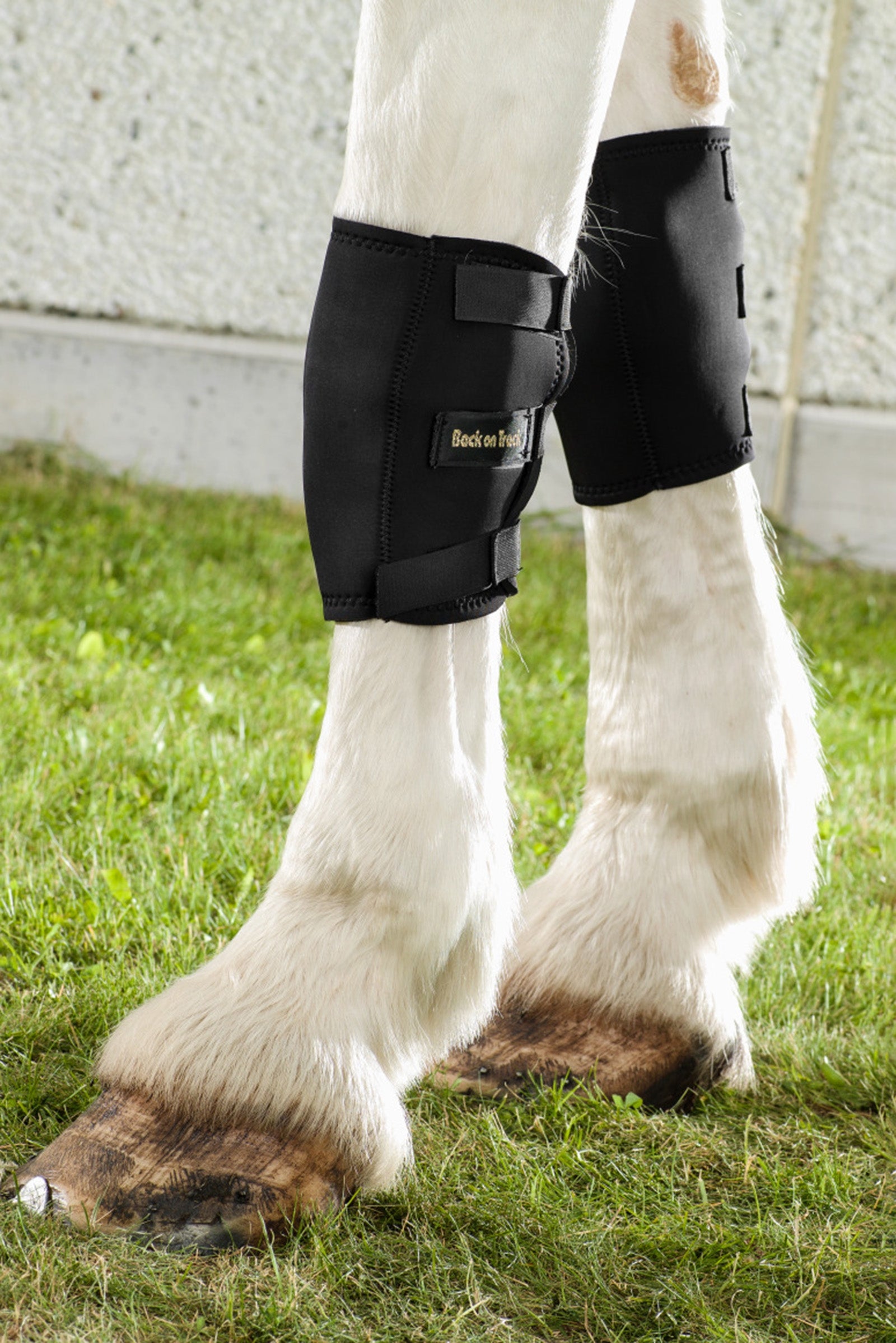 Back on Track Back On Track Knee boot, Left Leg & Hoof Protection
