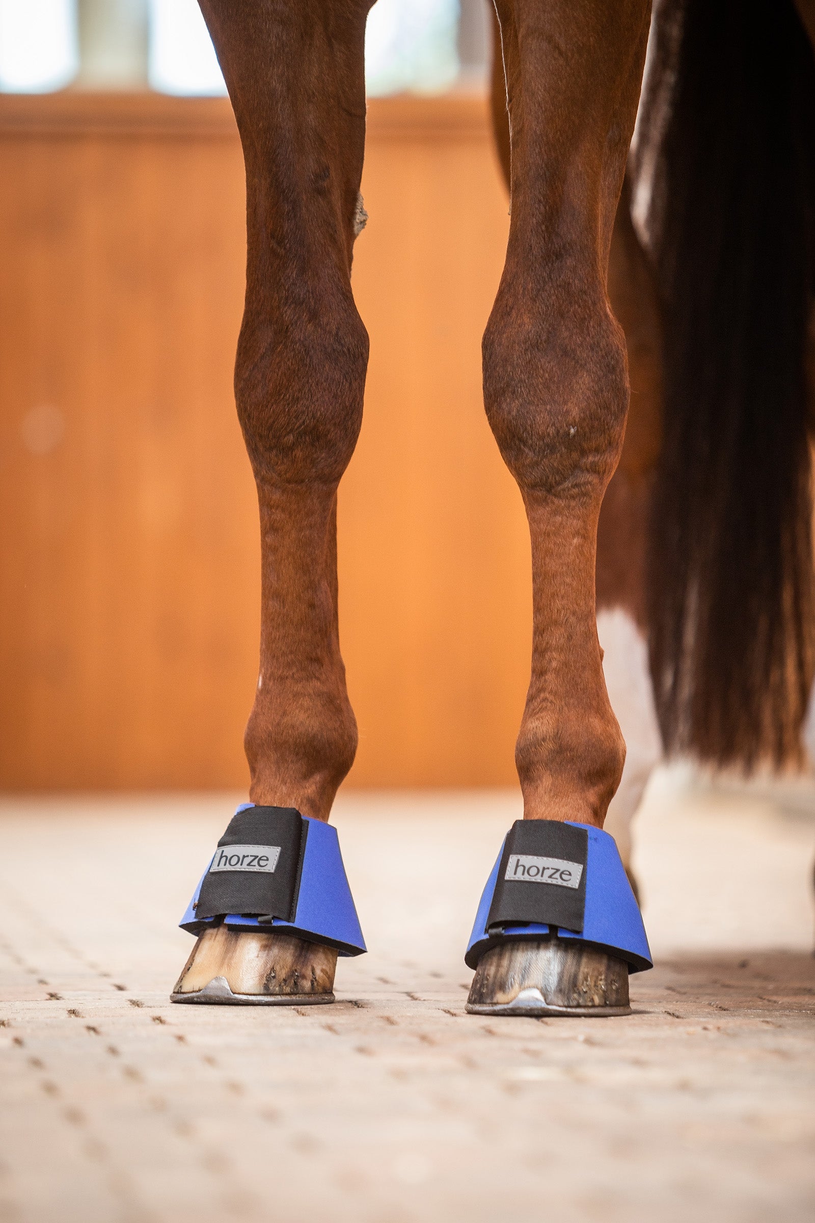 Horze ProBell Boots Leg & Hoof Protection