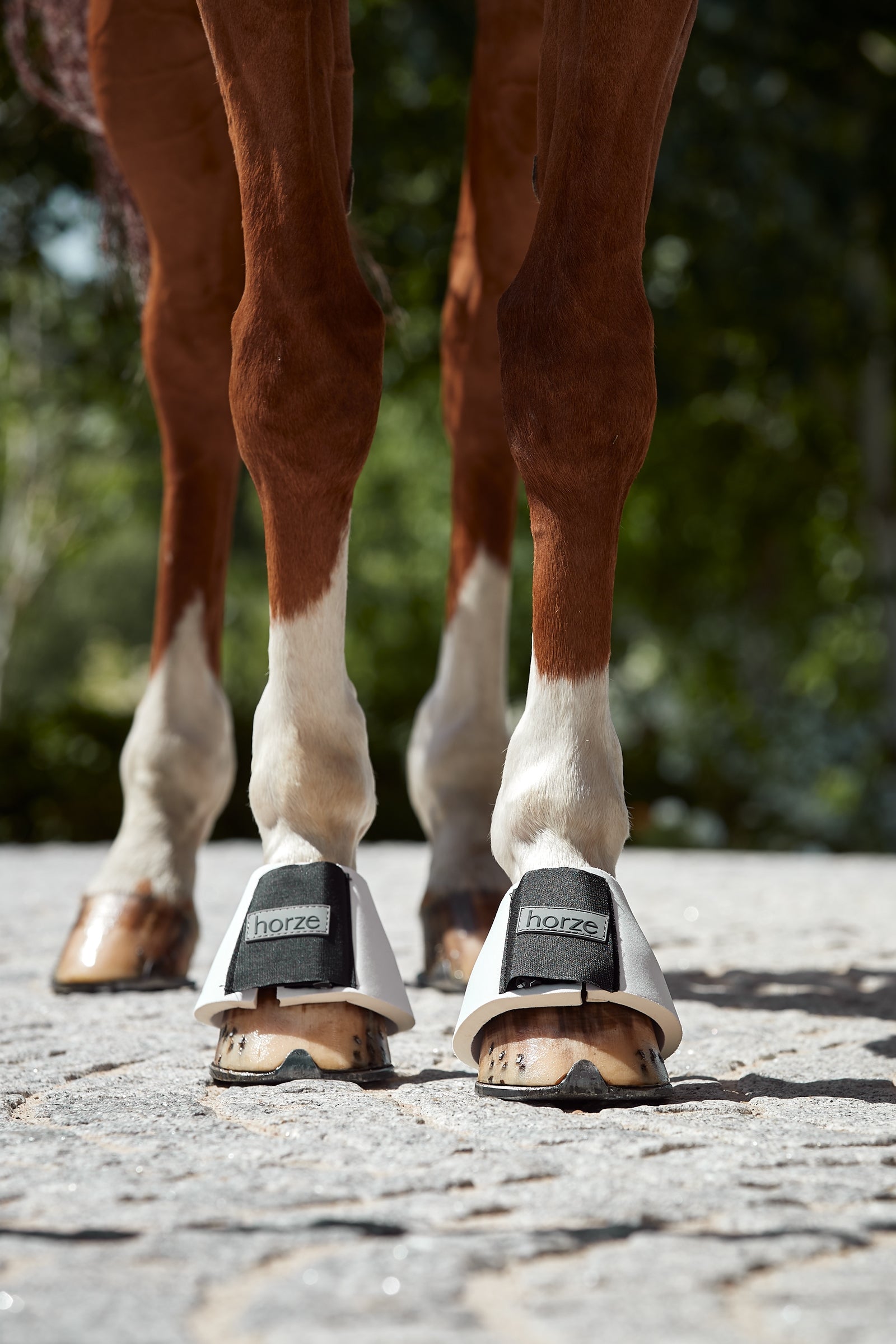 Horze ProBell Boots Leg & Hoof Protection