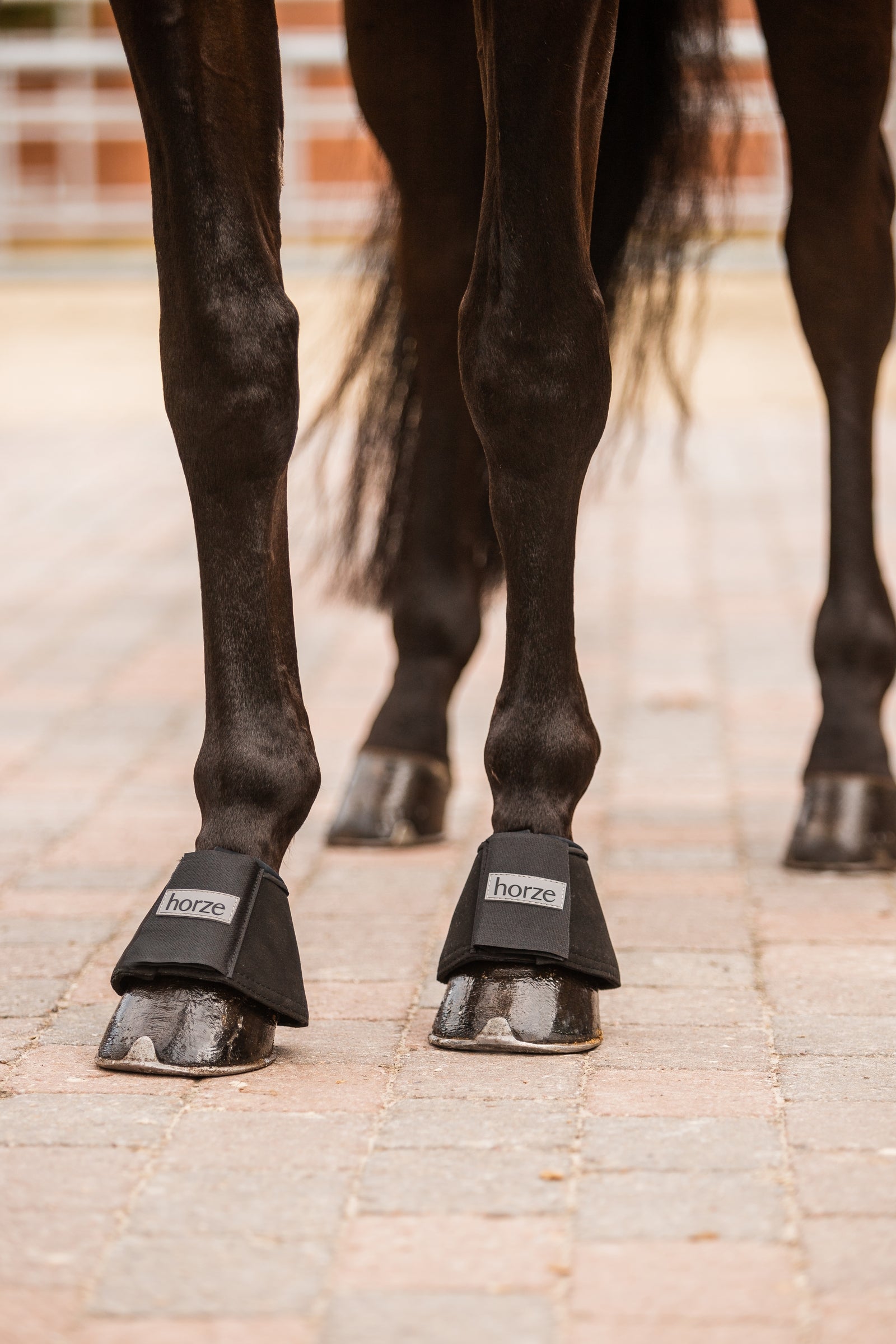 Horze All Purpose Bell Boots Leg & Hoof Protection