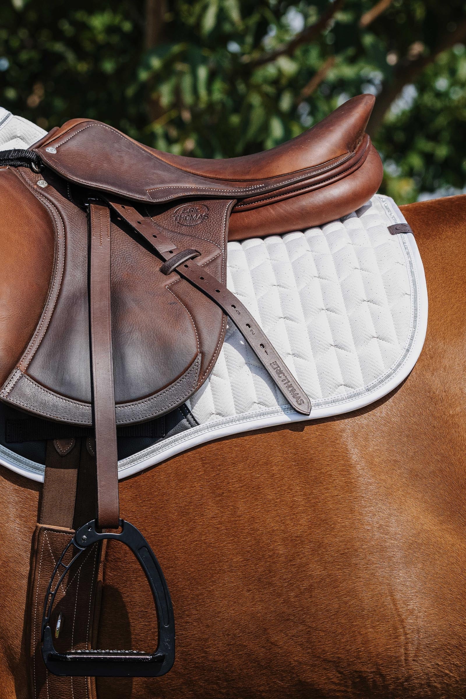 Equi Theme EQUITHÈME Eclat Saddle Pad Saddle Pads