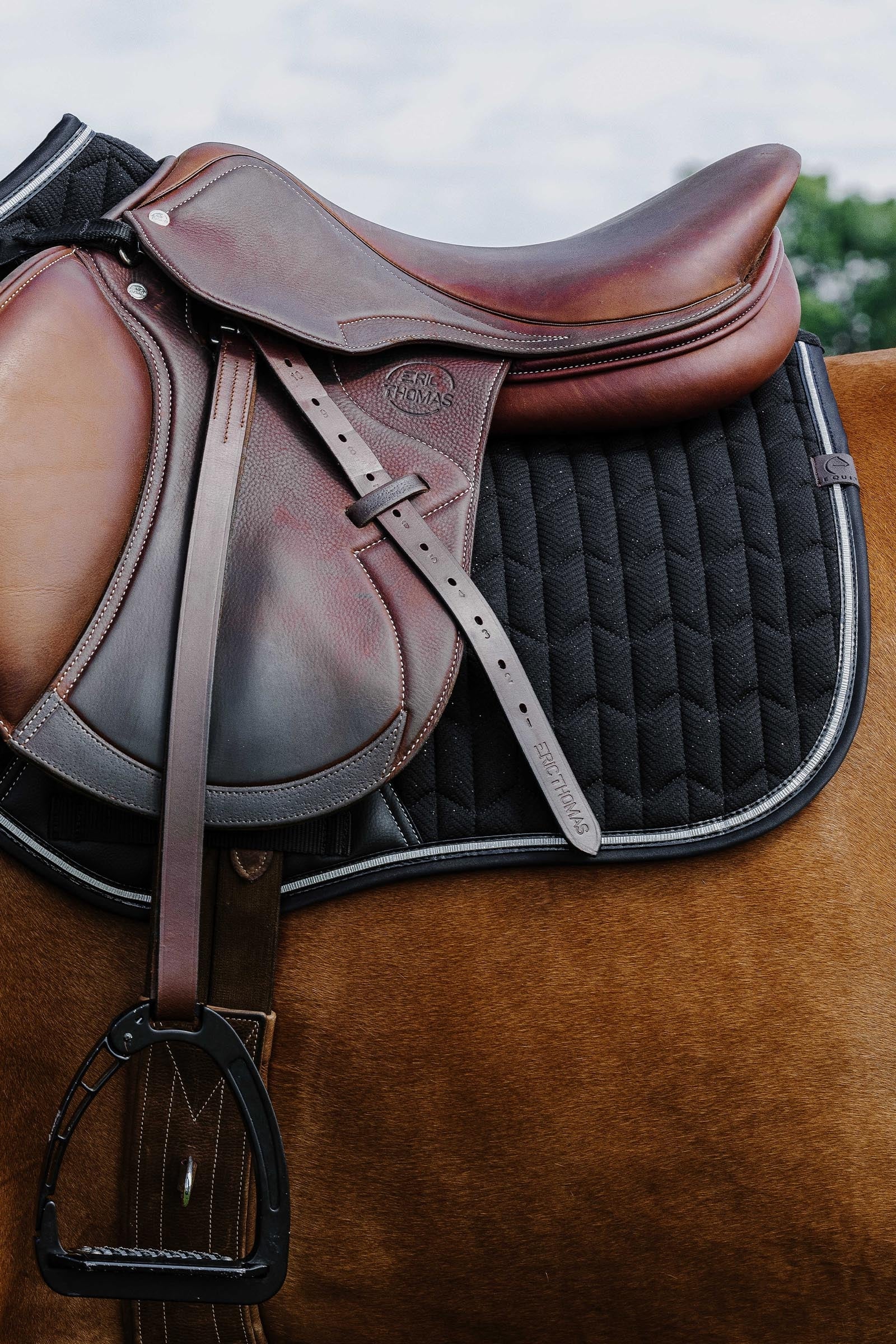 Equi Theme EQUITHÈME Eclat Saddle Pad Saddle Pads