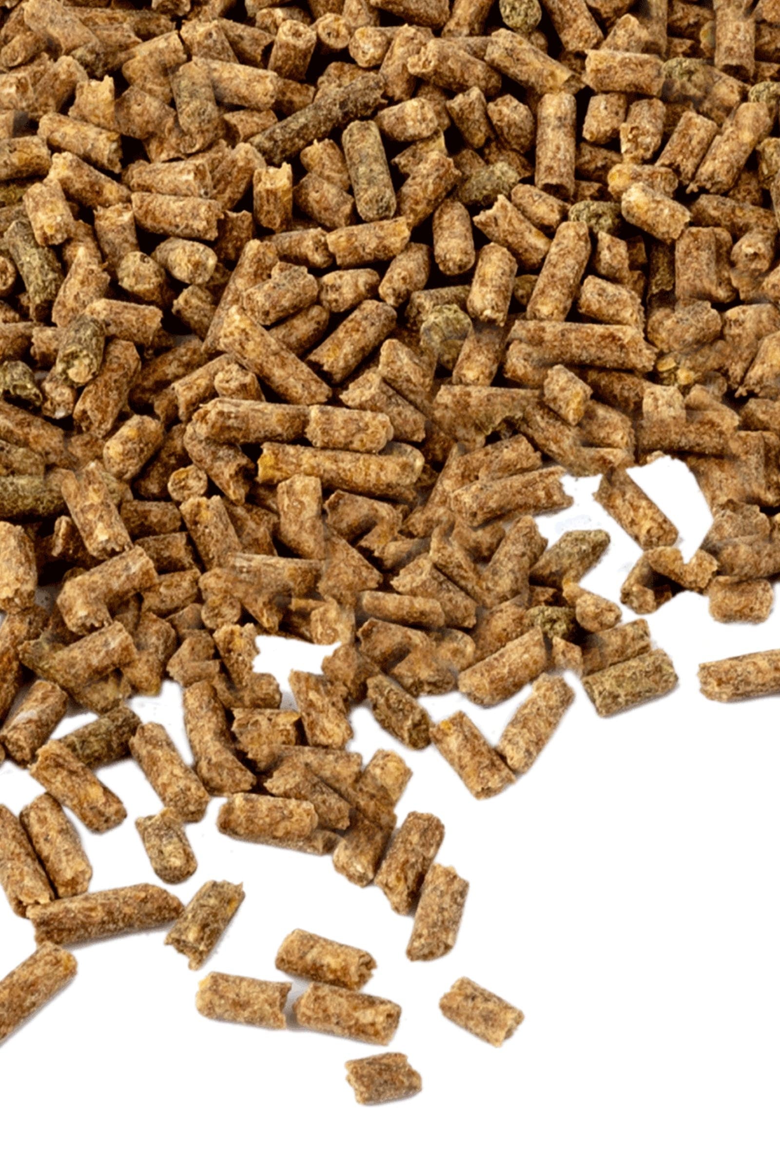 Waldhausen Vitamin E-Forte Pellets, 1000 g Horse Feed & Nutrition
