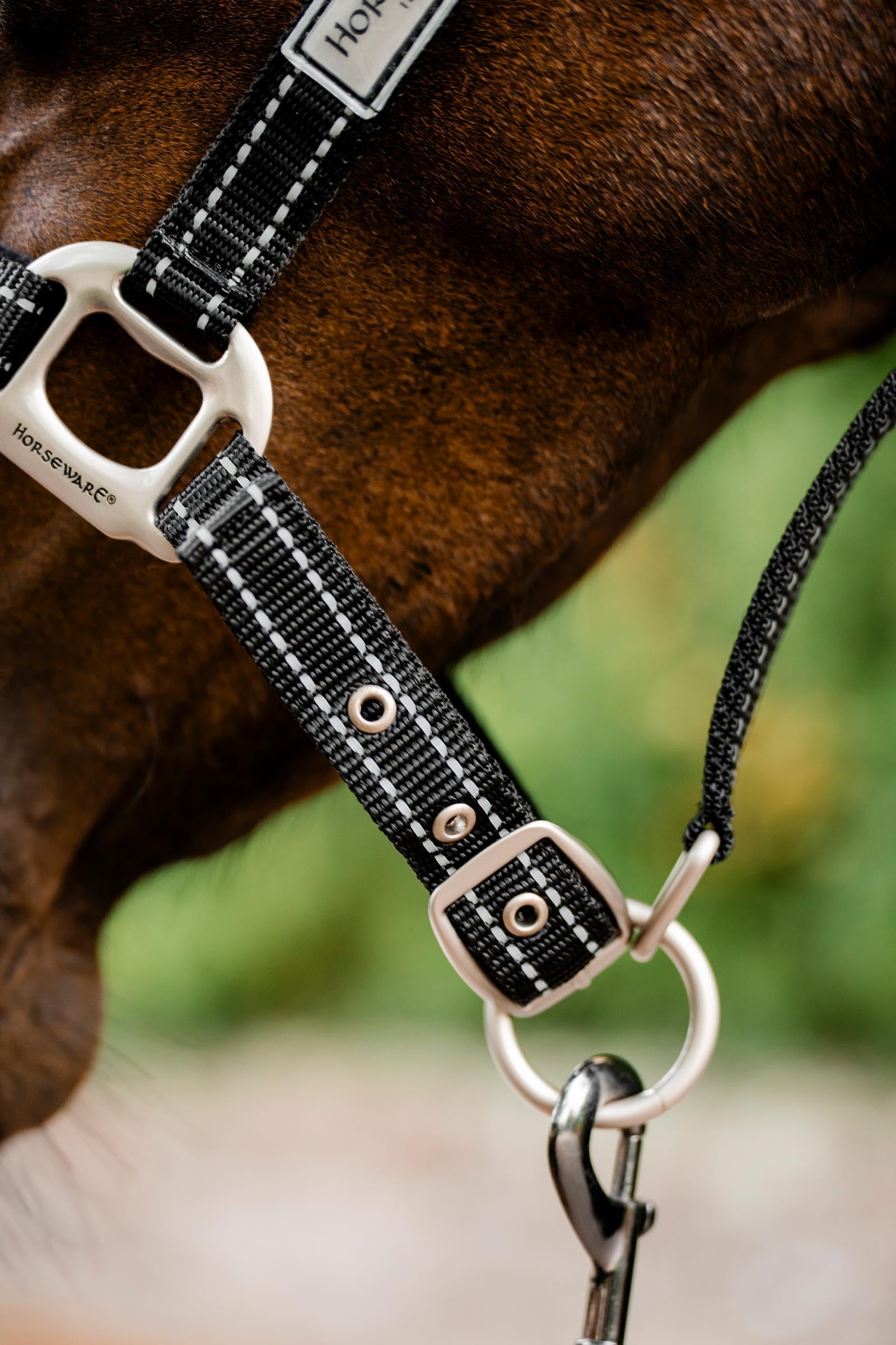 Horseware FieldSafe Headcollar Halters & Leads