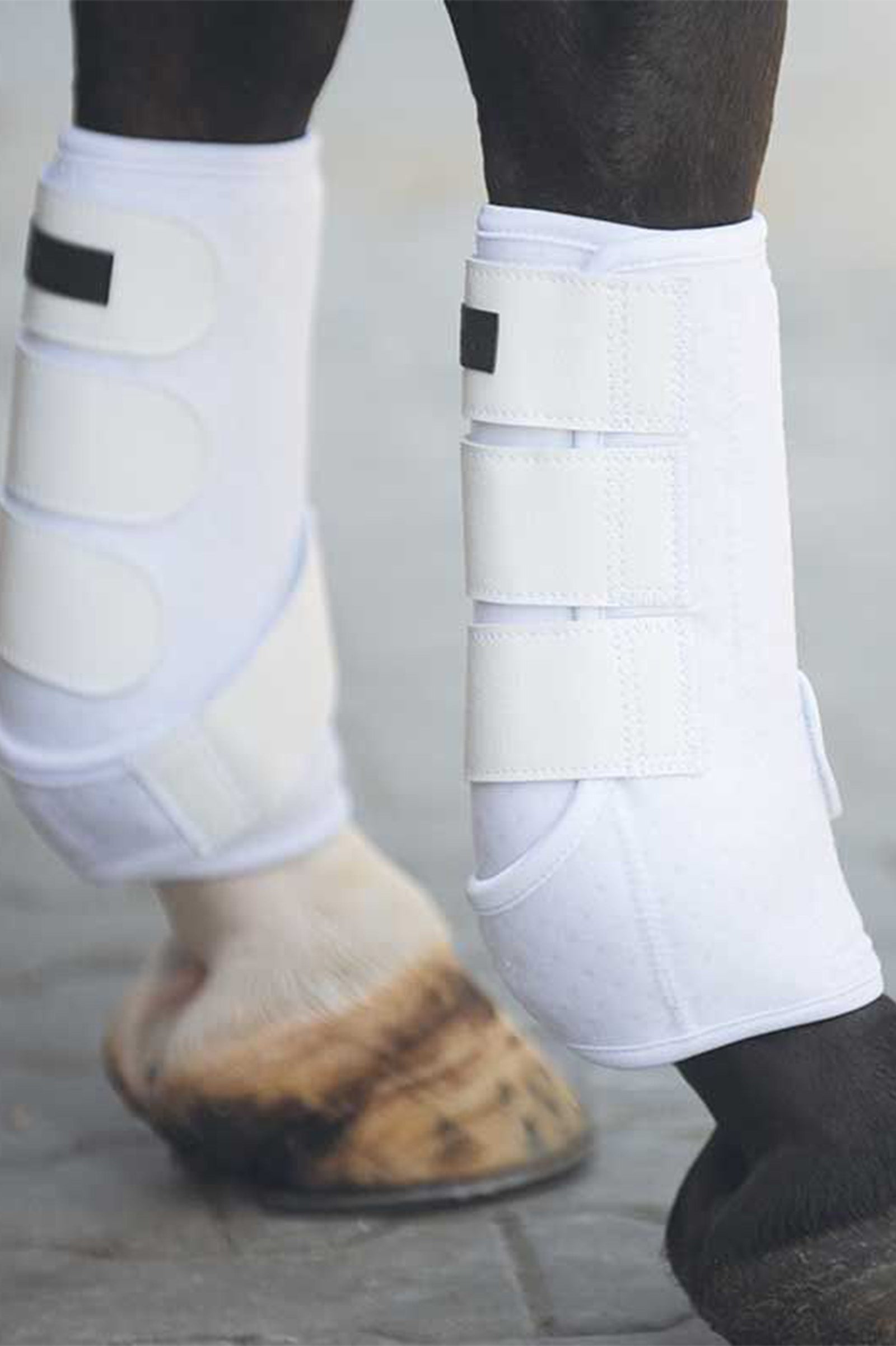Kavalkade Neoprene wrap boots Leg & Hoof Protection