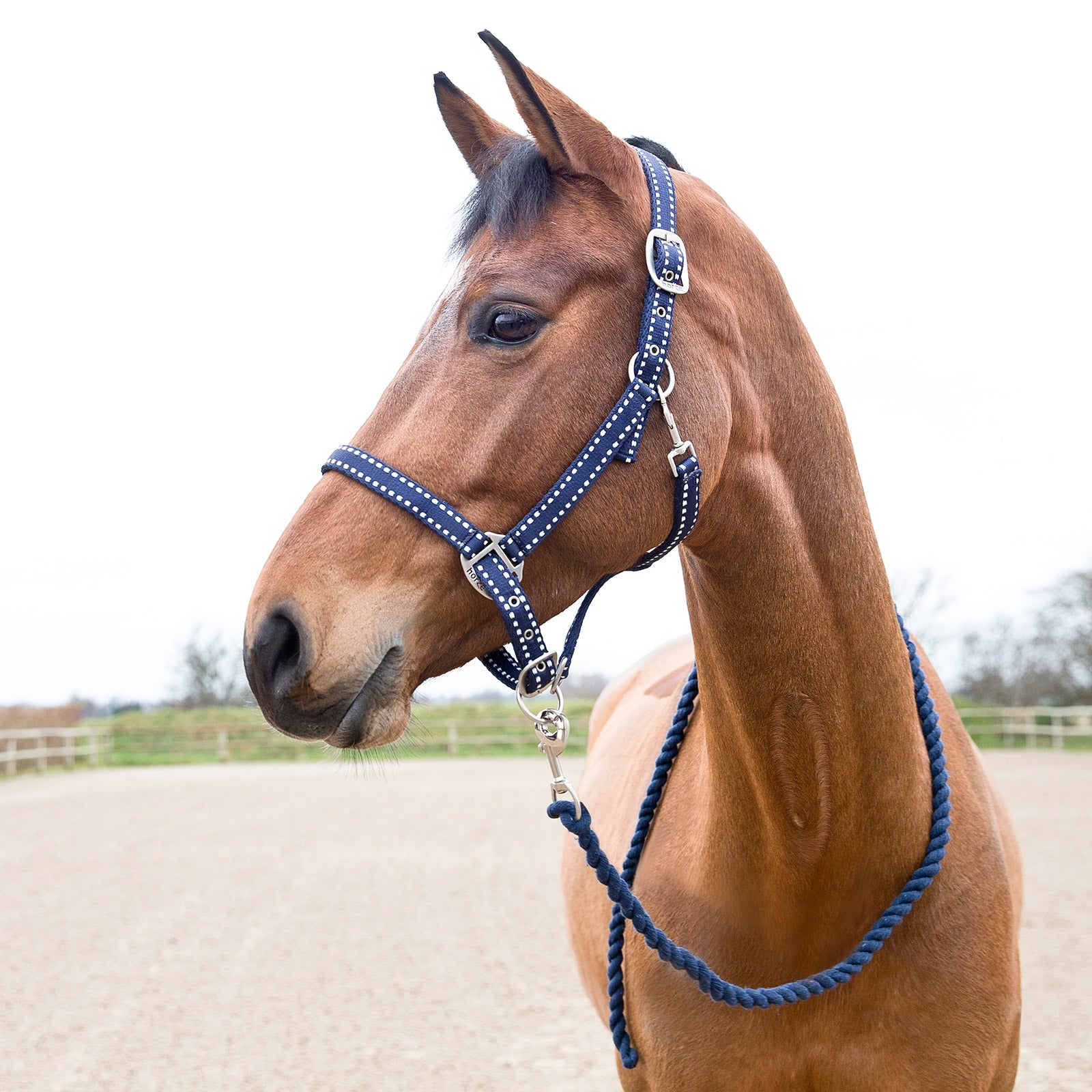 Horze Cooper Halter and Lead Set Halters & Leads