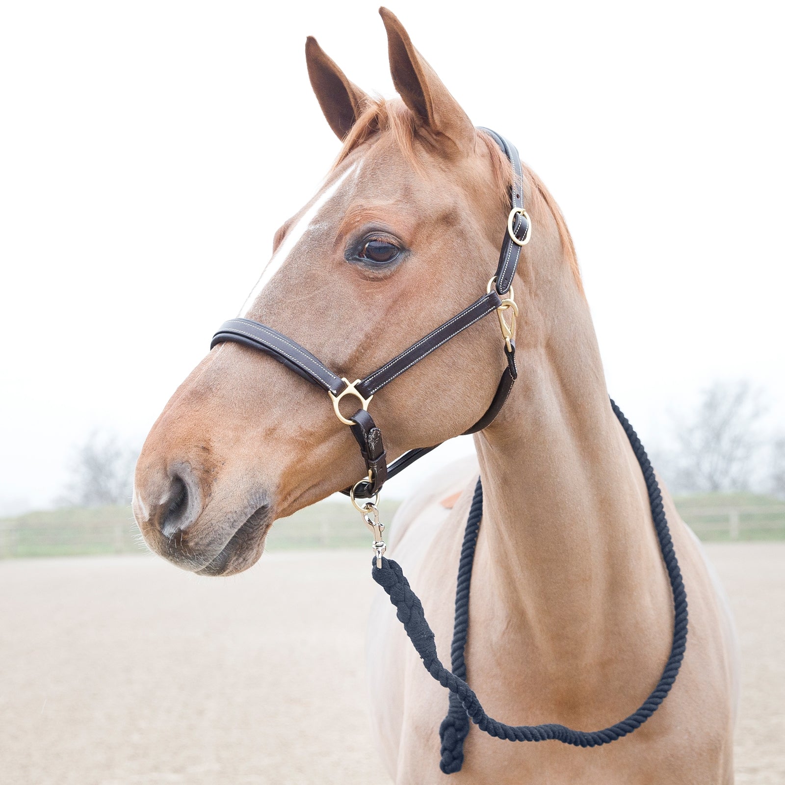 Horze Lead Rope Halters & Leads