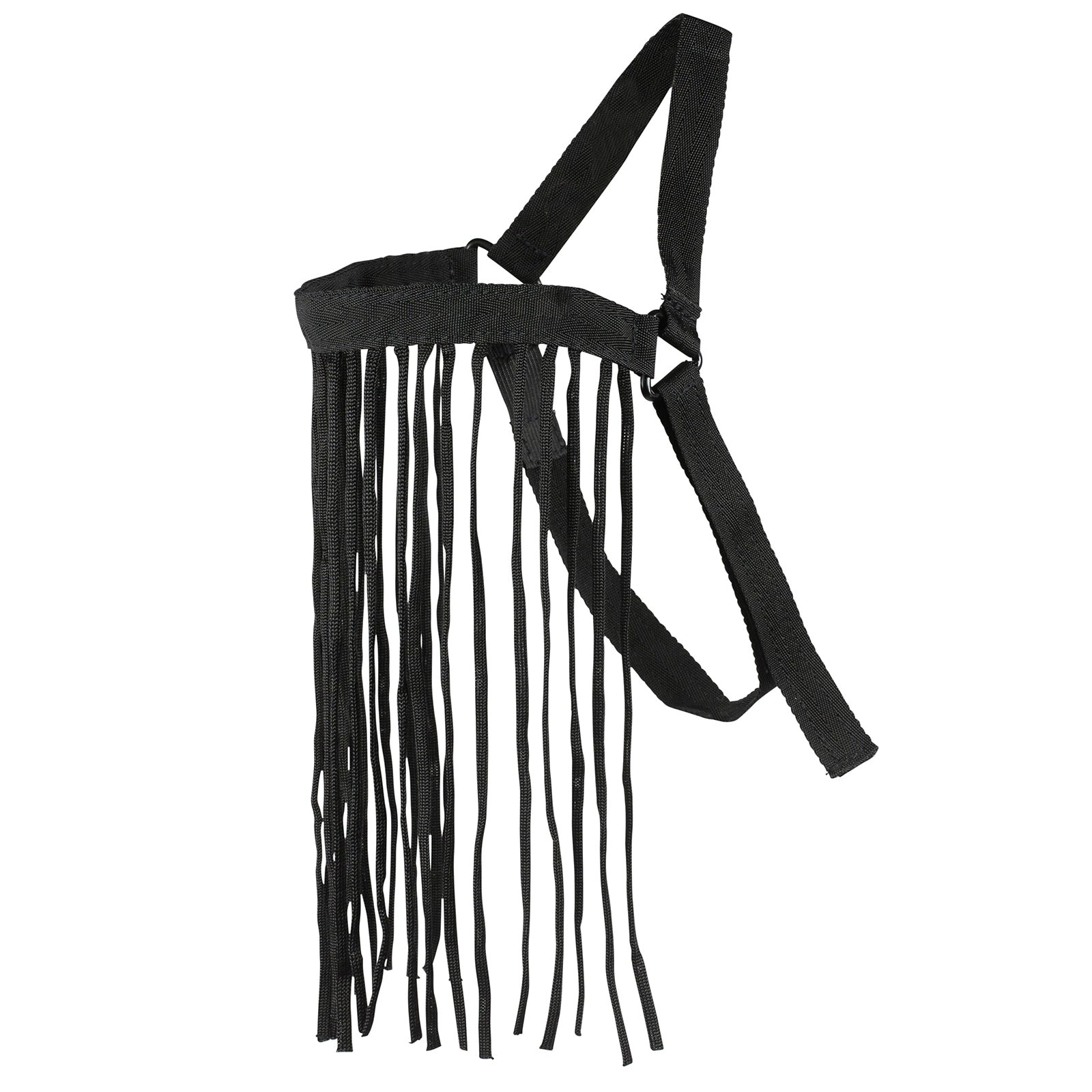 Alt Tag fallback text for IMAGE