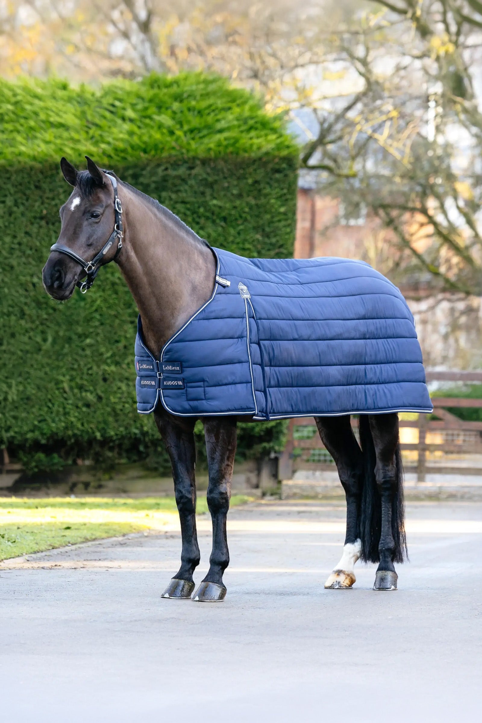 LeMieux Kudos Rug Liner, 200 g Horse Rugs