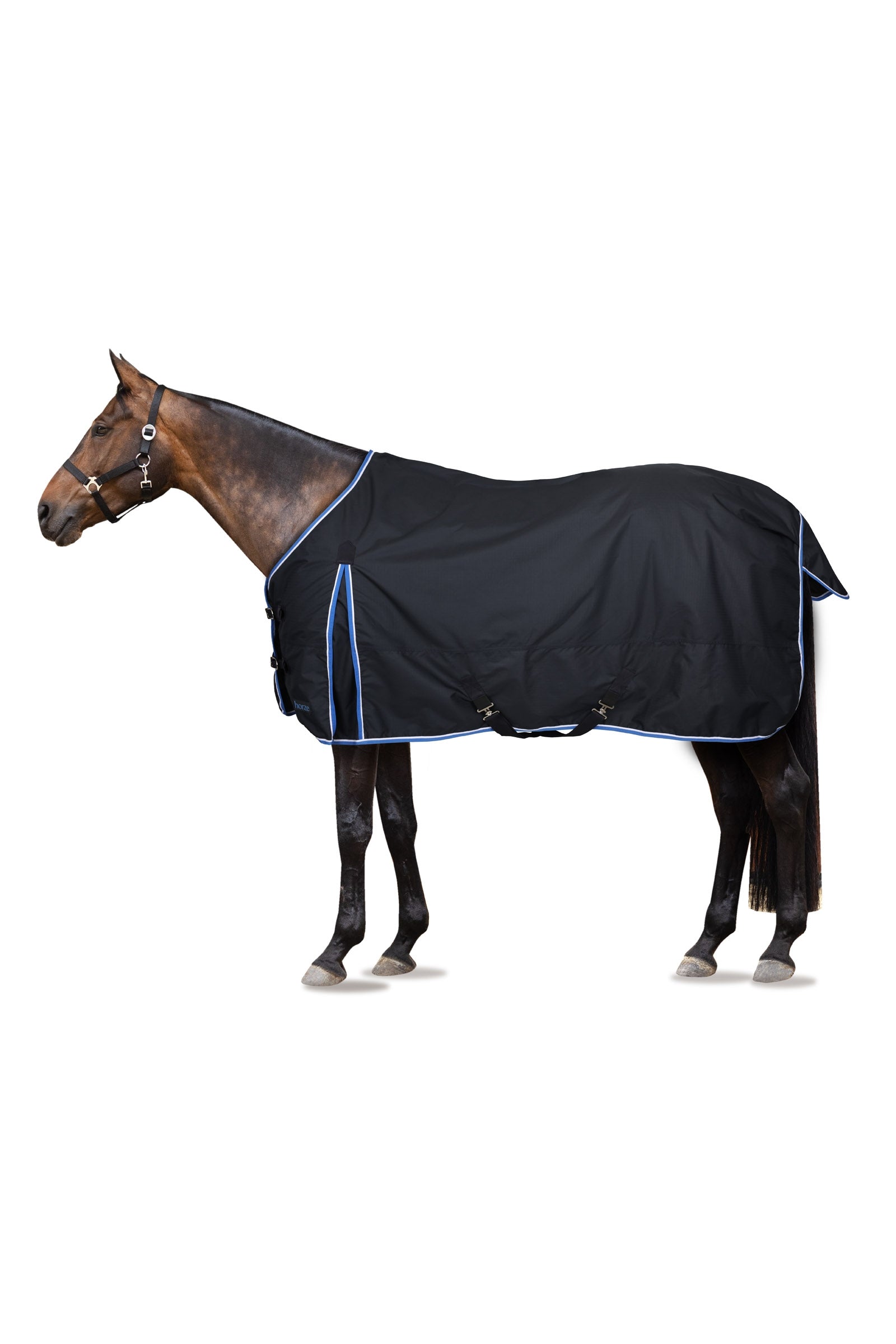 Horze Glasgow Turnout Rug, 100g Horse Rugs