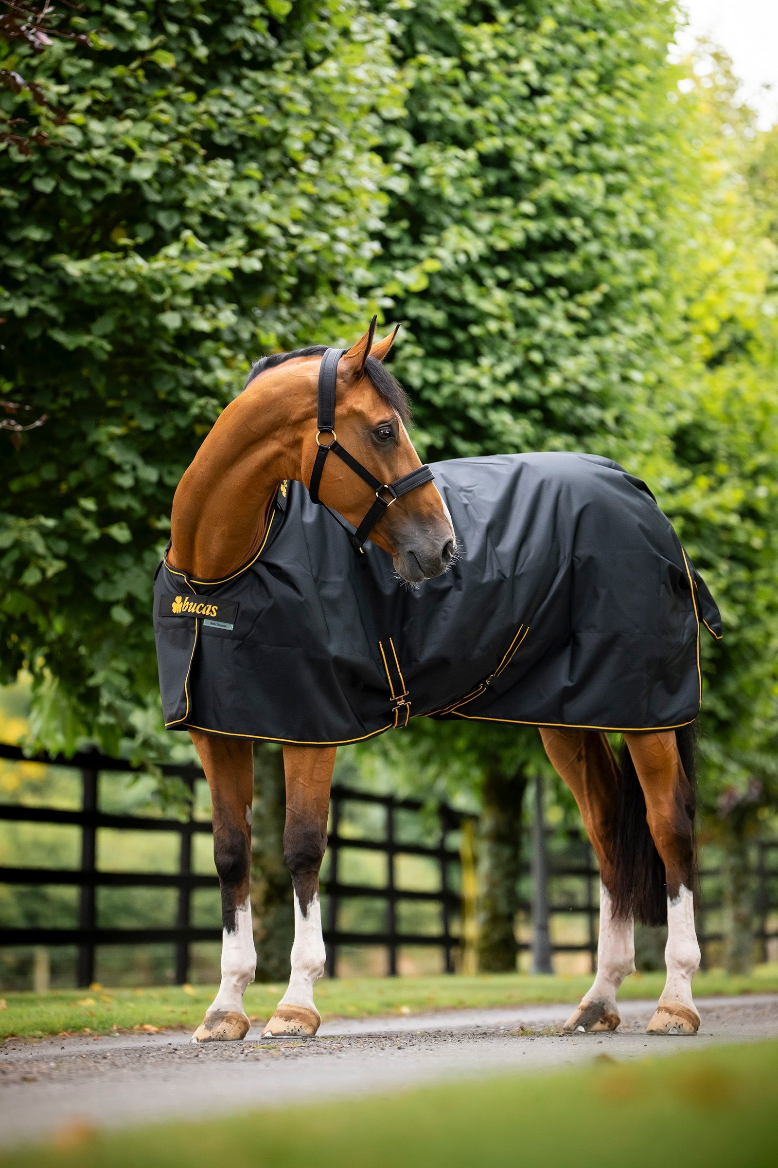 Bucas Irish Turnout Rug, 300g Horse Rugs