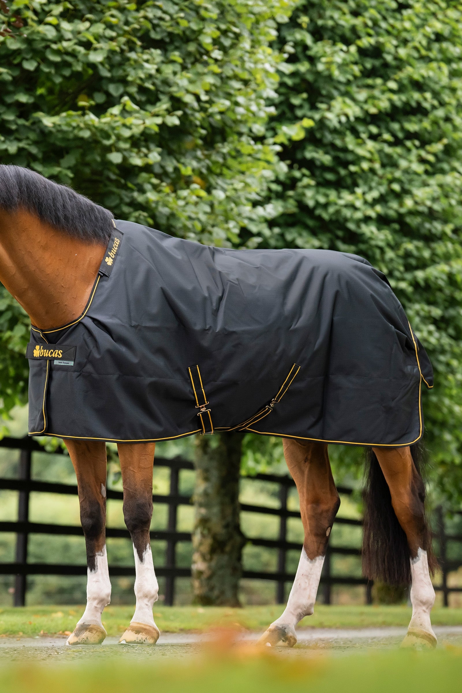 Bucas Irish Turnout Rug, 300g Horse Rugs