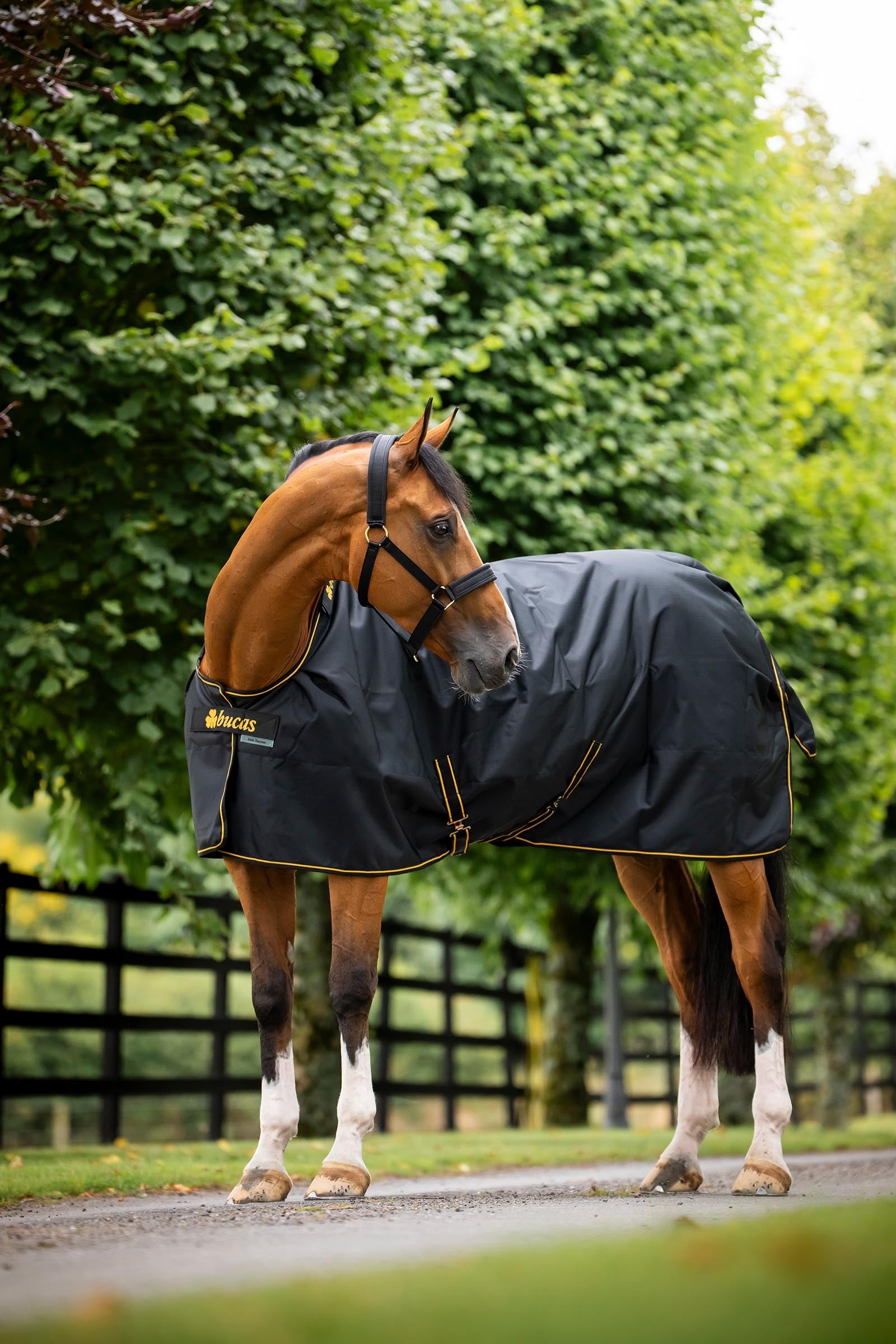 Bucas Irish Turnout Rug, 50g Horse Rugs