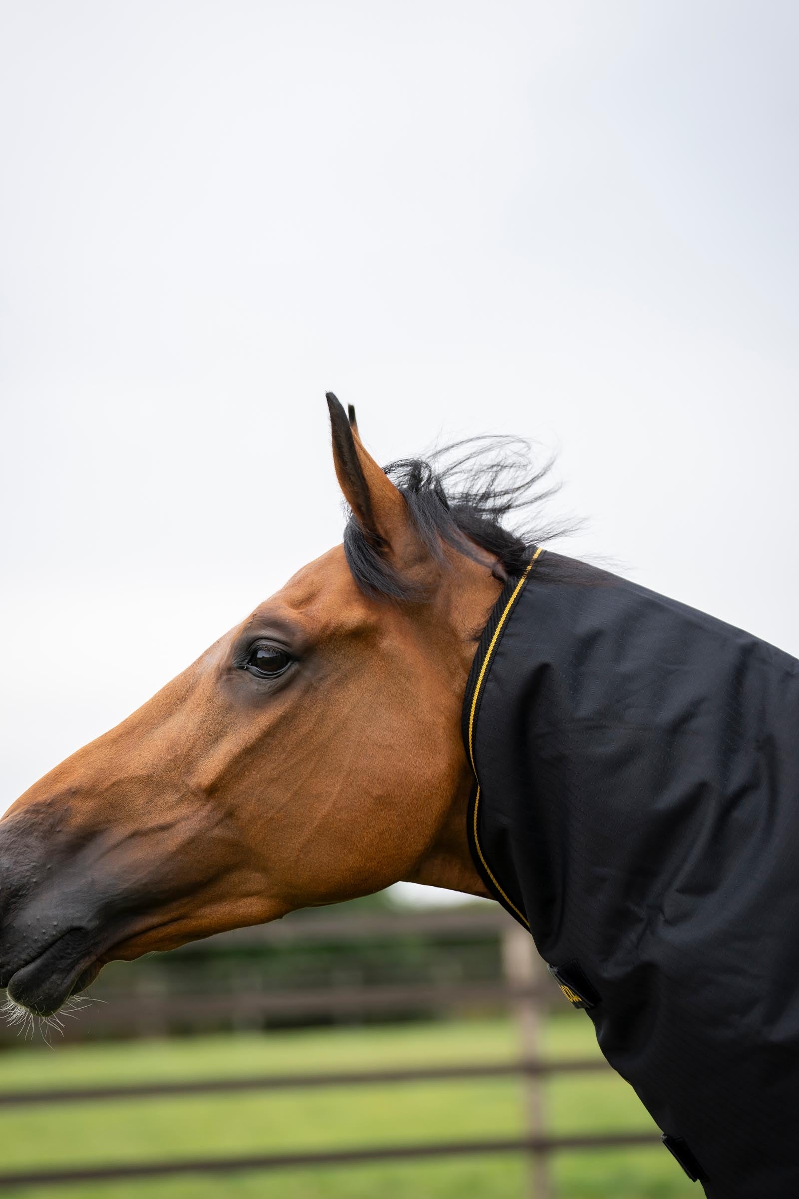 Bucas Irish Turnout Neck Piece, 0g Horse Rugs