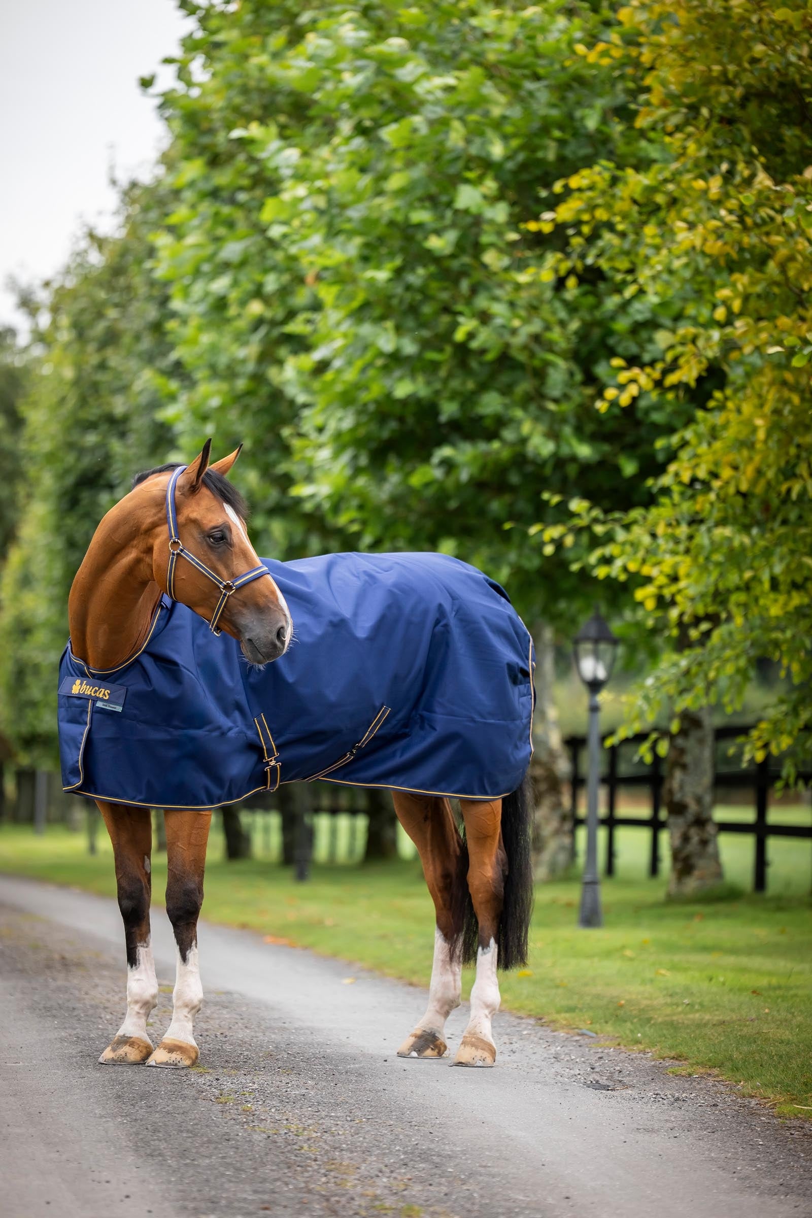 Bucas Irish Turnout Extra Pony Turnout Rug, 300g Horse Rugs