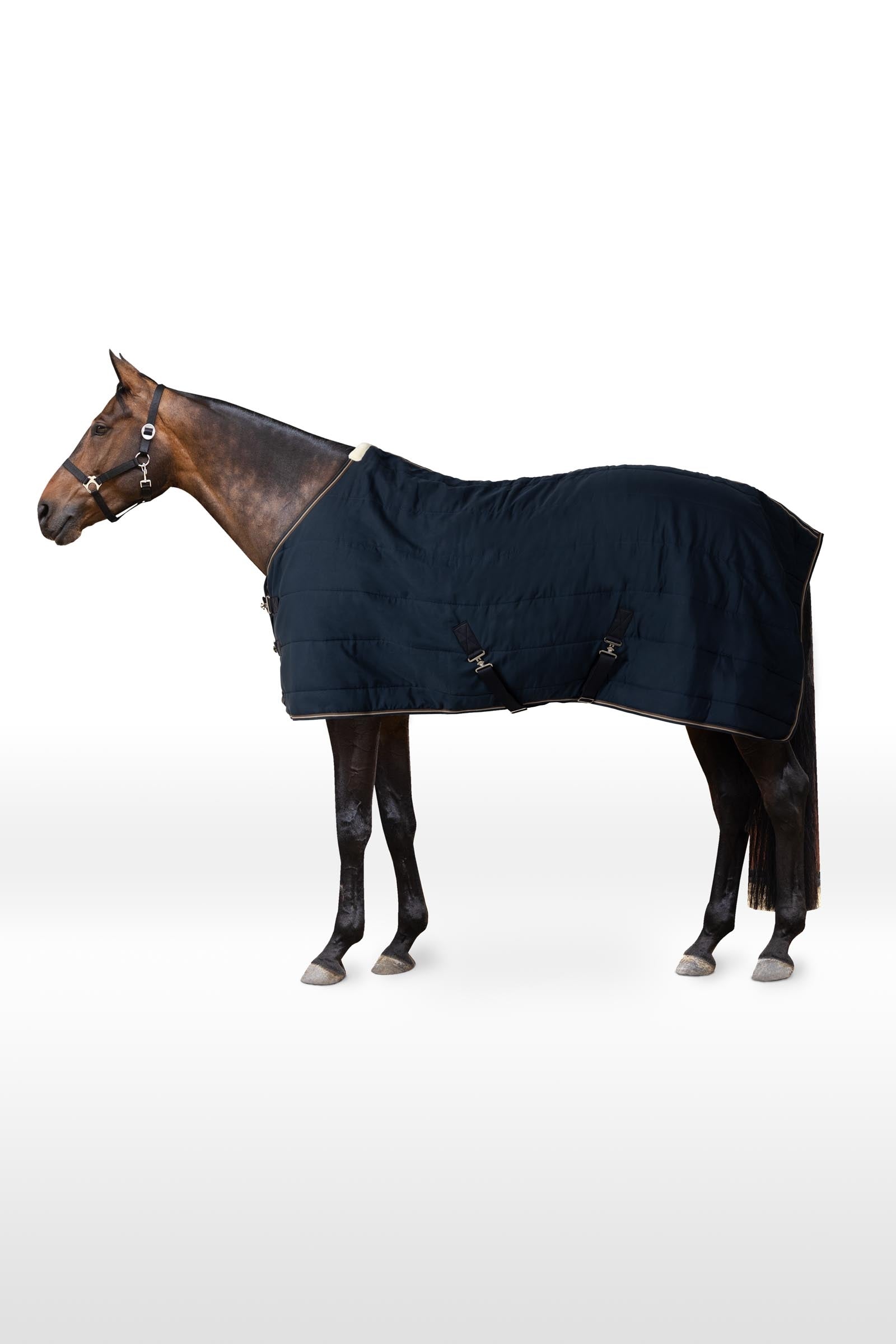 Horze Glasgow Stable Rug / Under Rug, 200g Horse Rugs