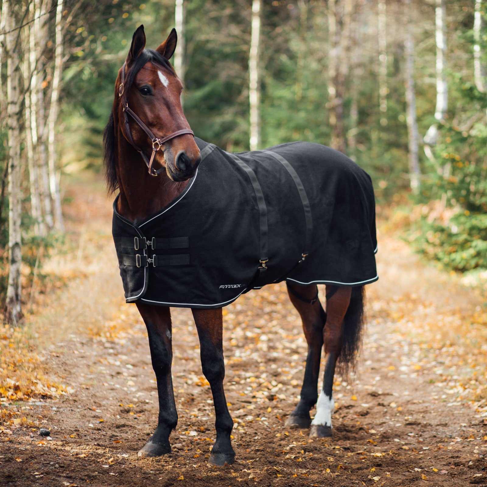 Finntack Elite Cooler Made of Wool Horse Rugs