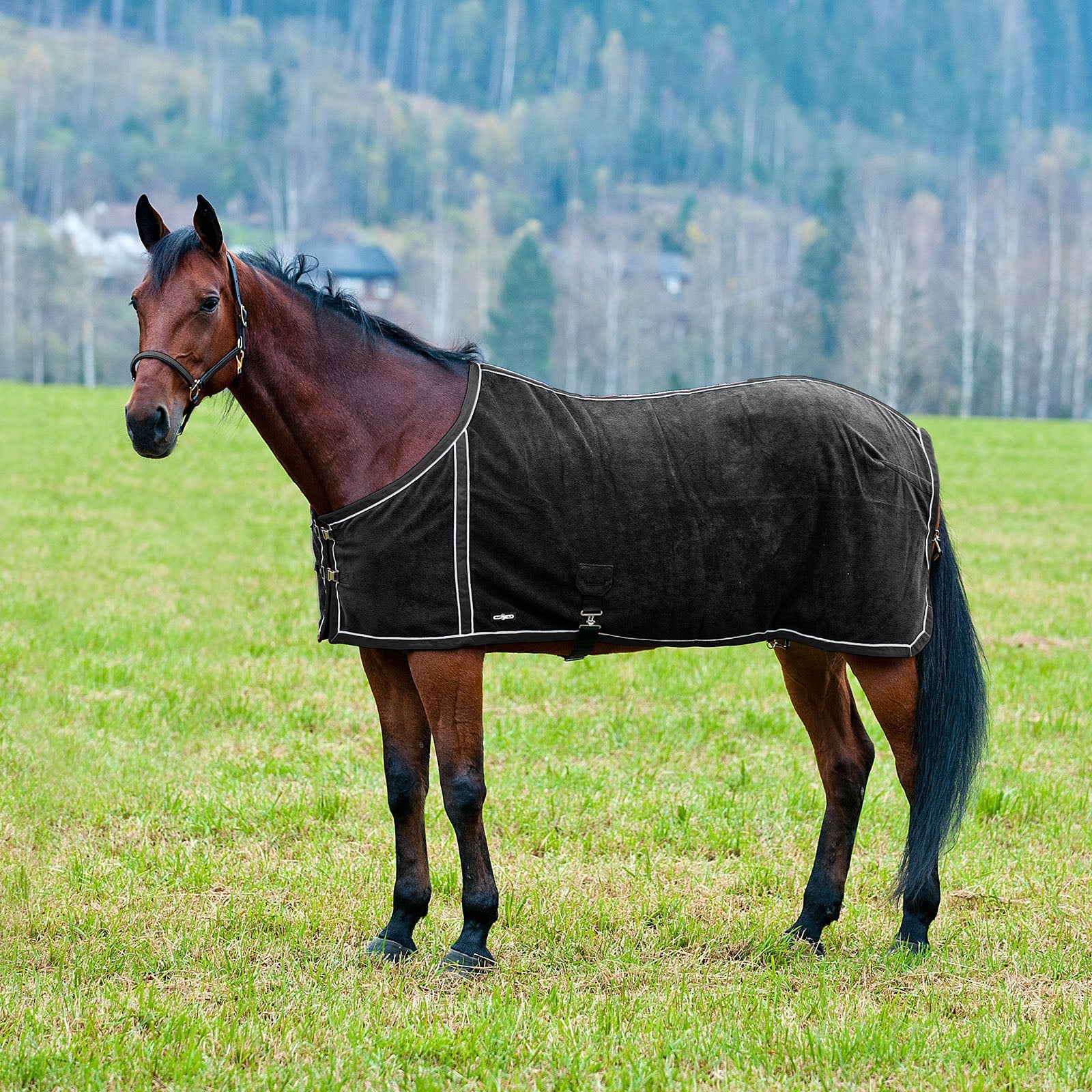Alt Tag fallback text for IMAGE