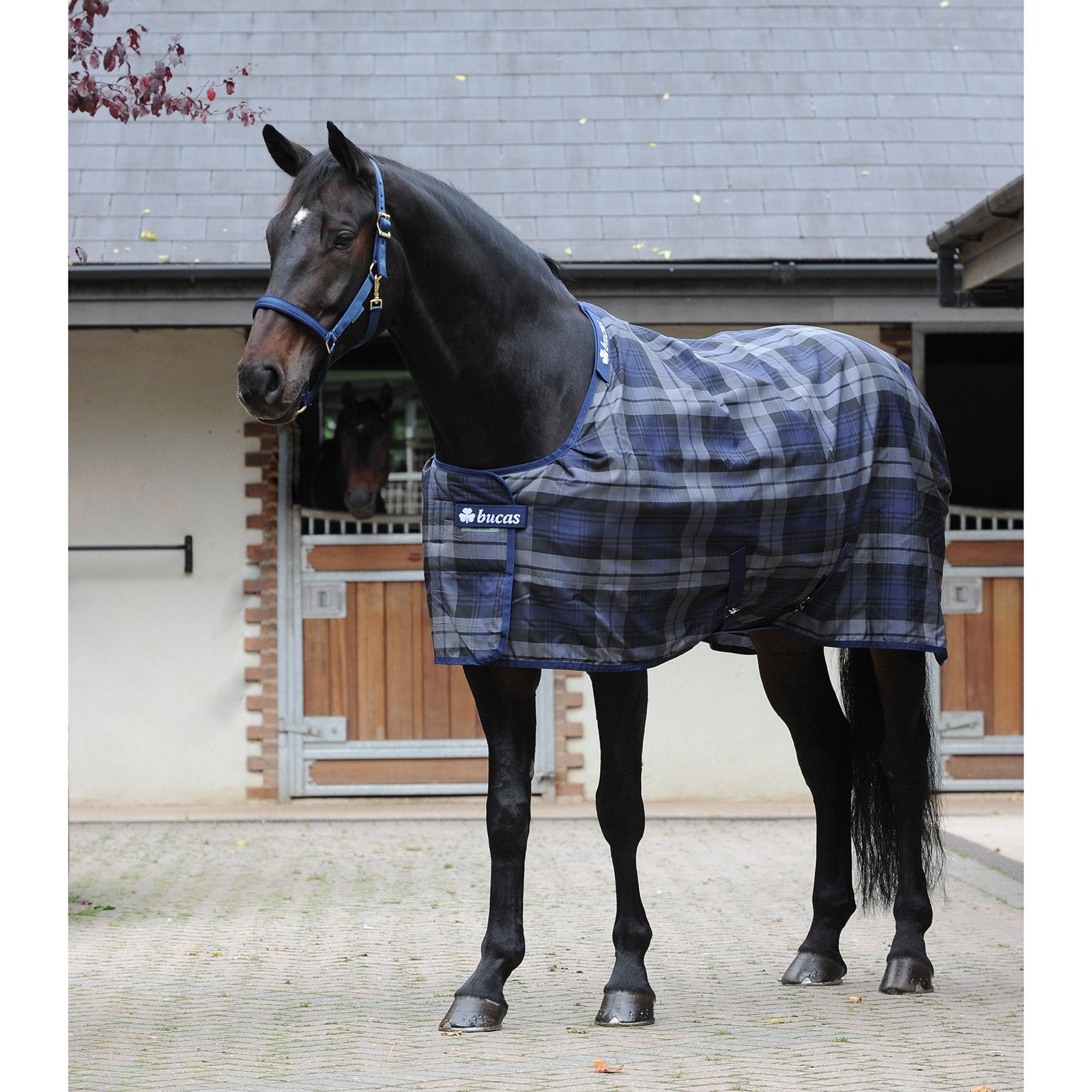 Bucas Celtic Stable Light rug Horse Rugs