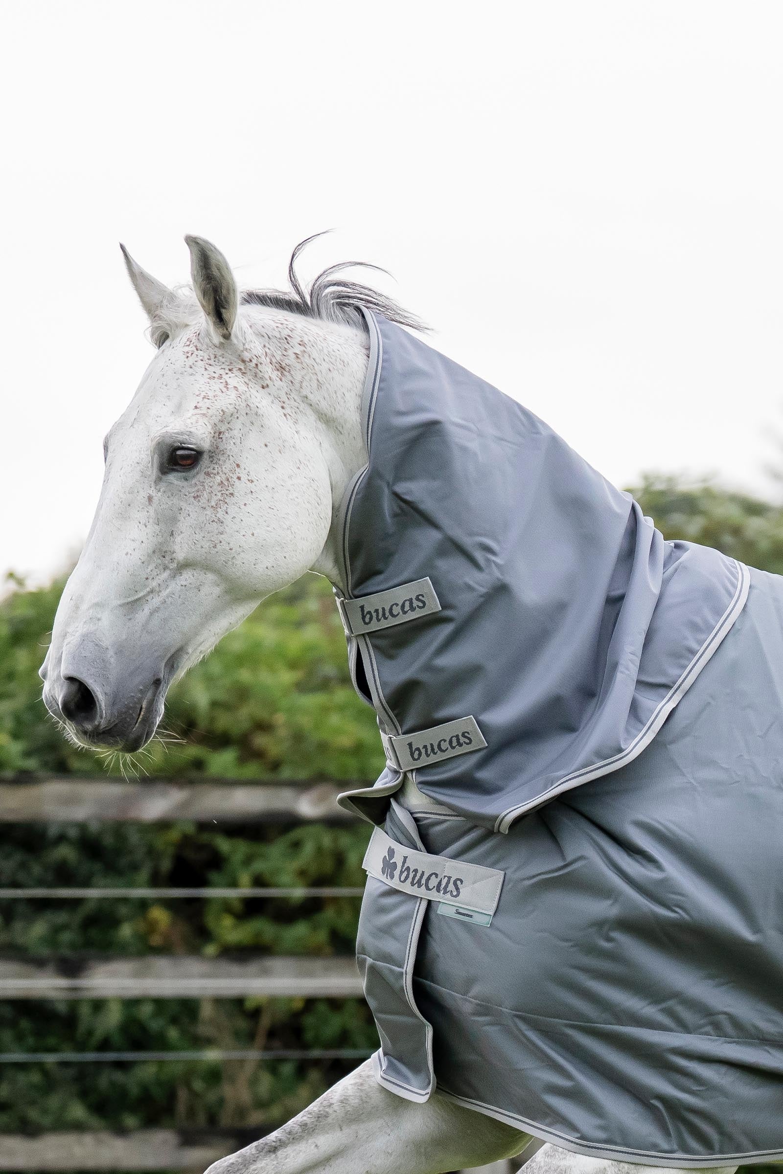 Bucas Smartex Neck, 0 g Horse Rugs