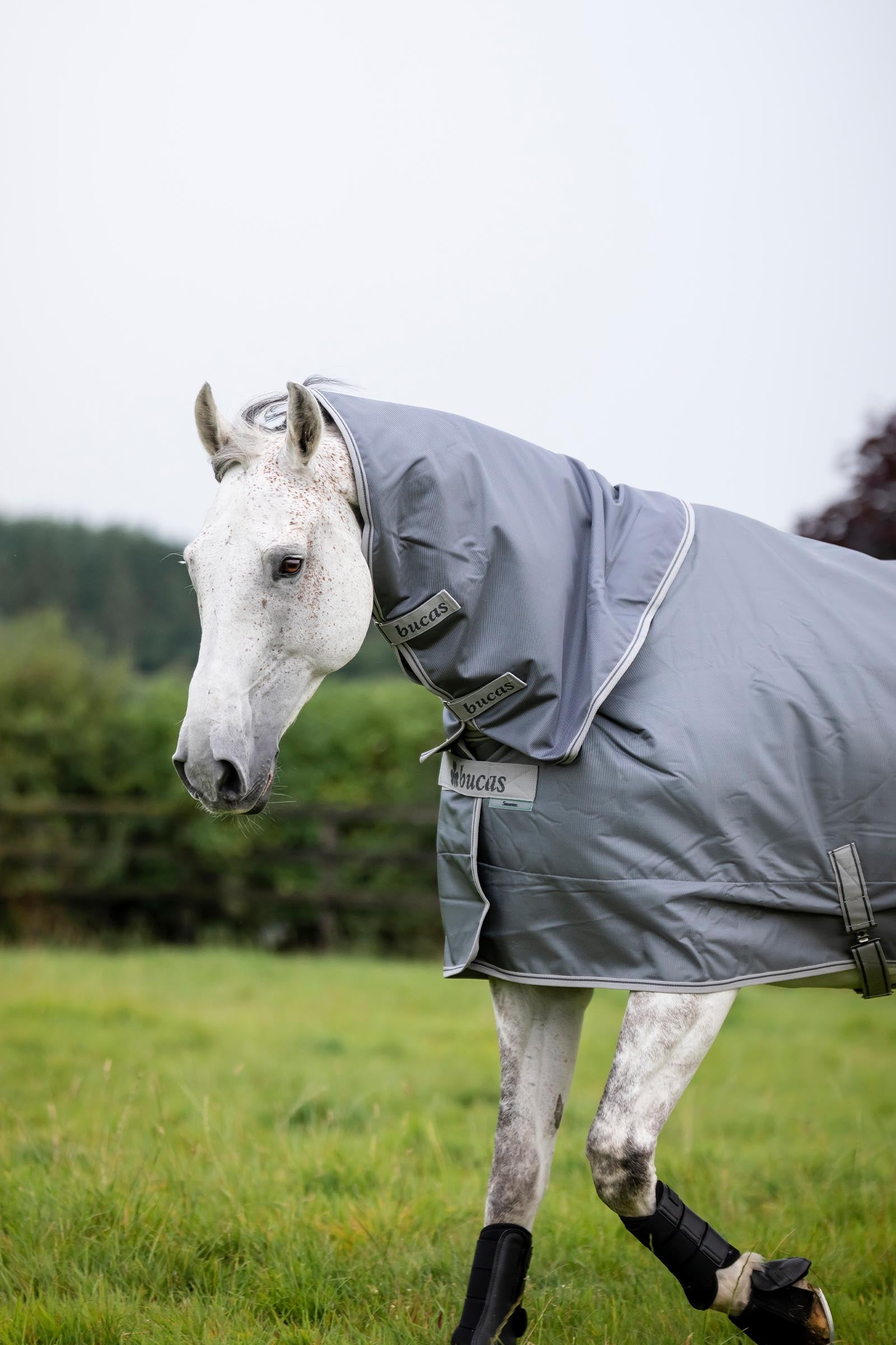 Bucas Smartex Neck, 0 g Horse Rugs
