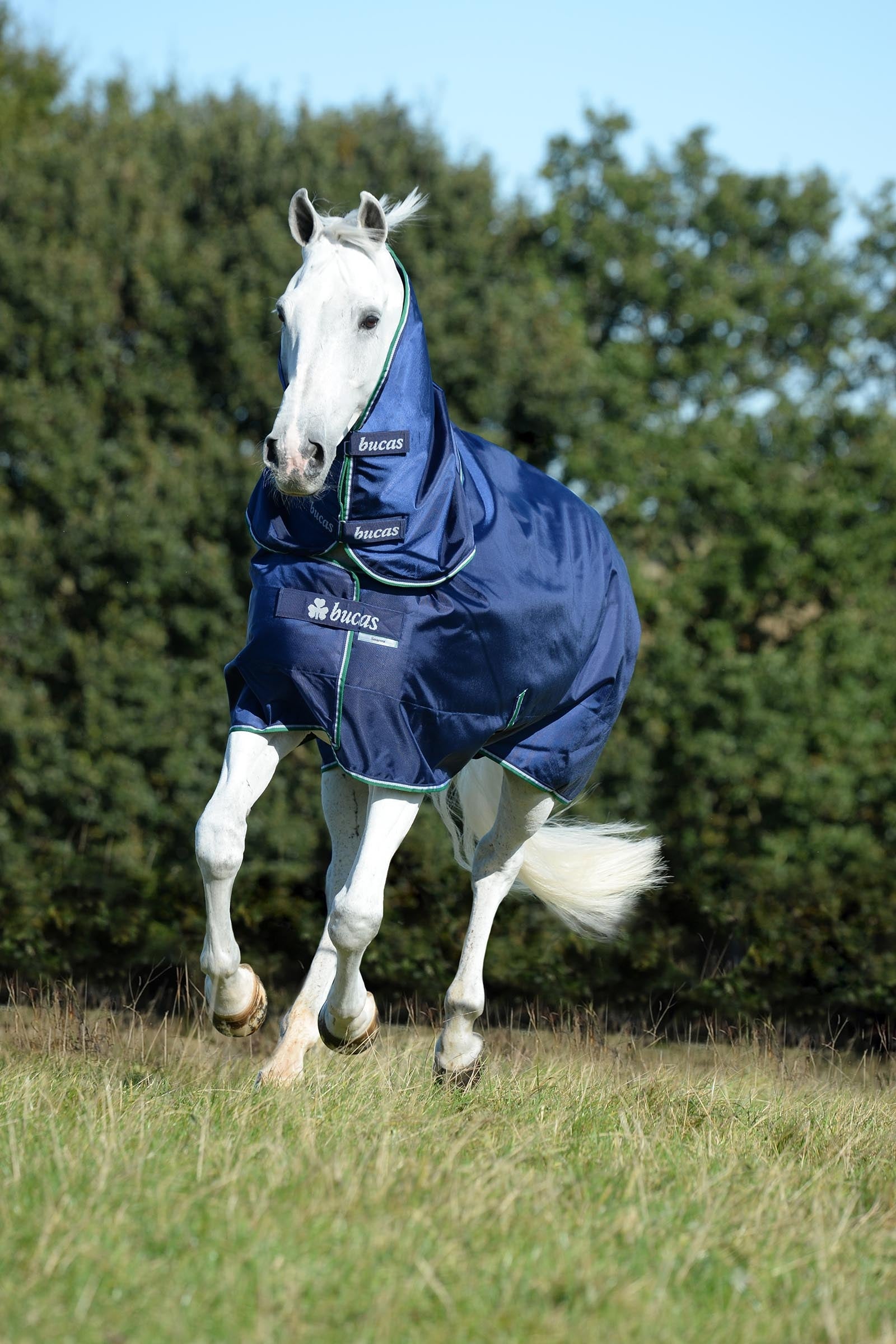 Bucas Smartex Neck, 0 g Horse Rugs