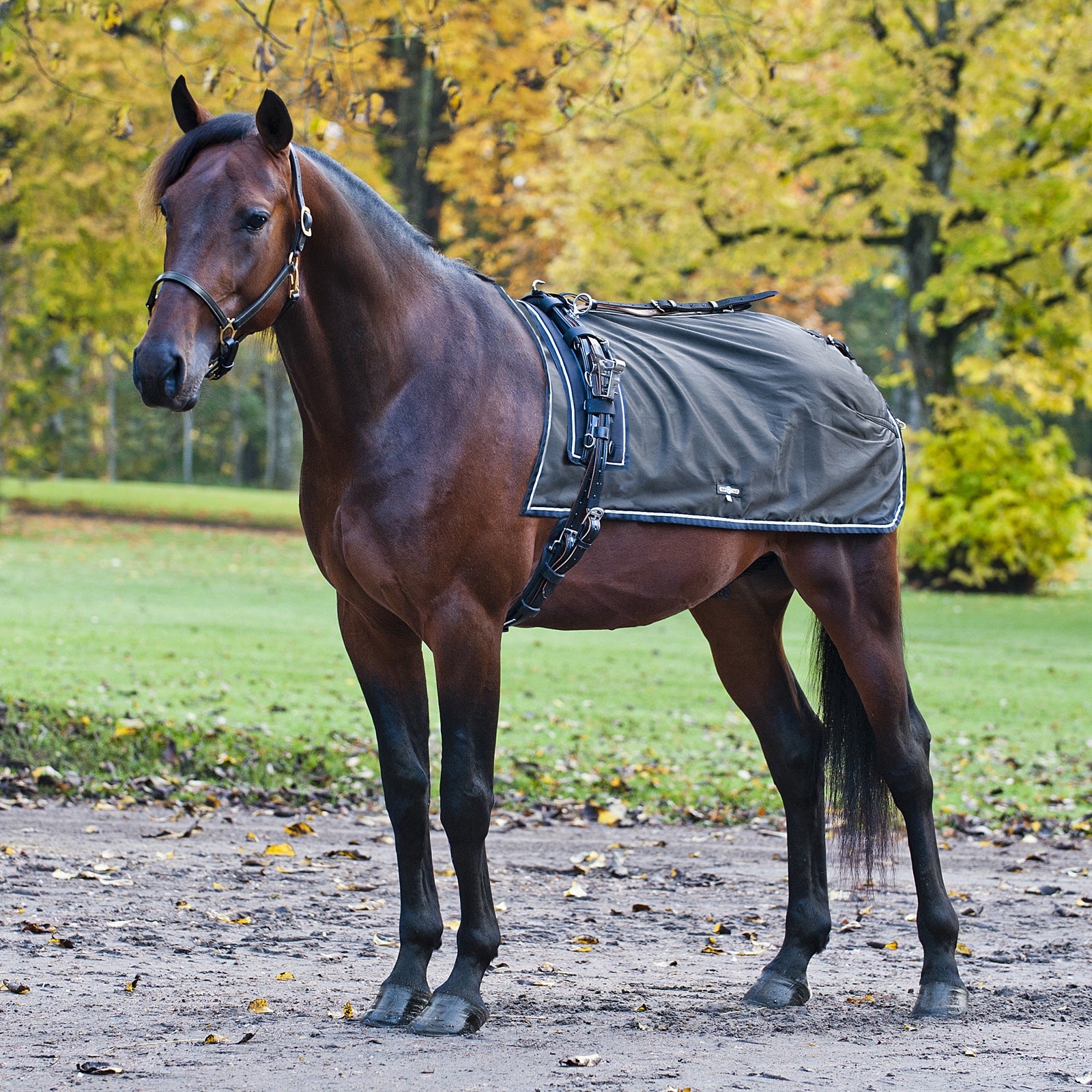 Finntack Pro Endura Quarter Exercise Sheet Horse Rugs