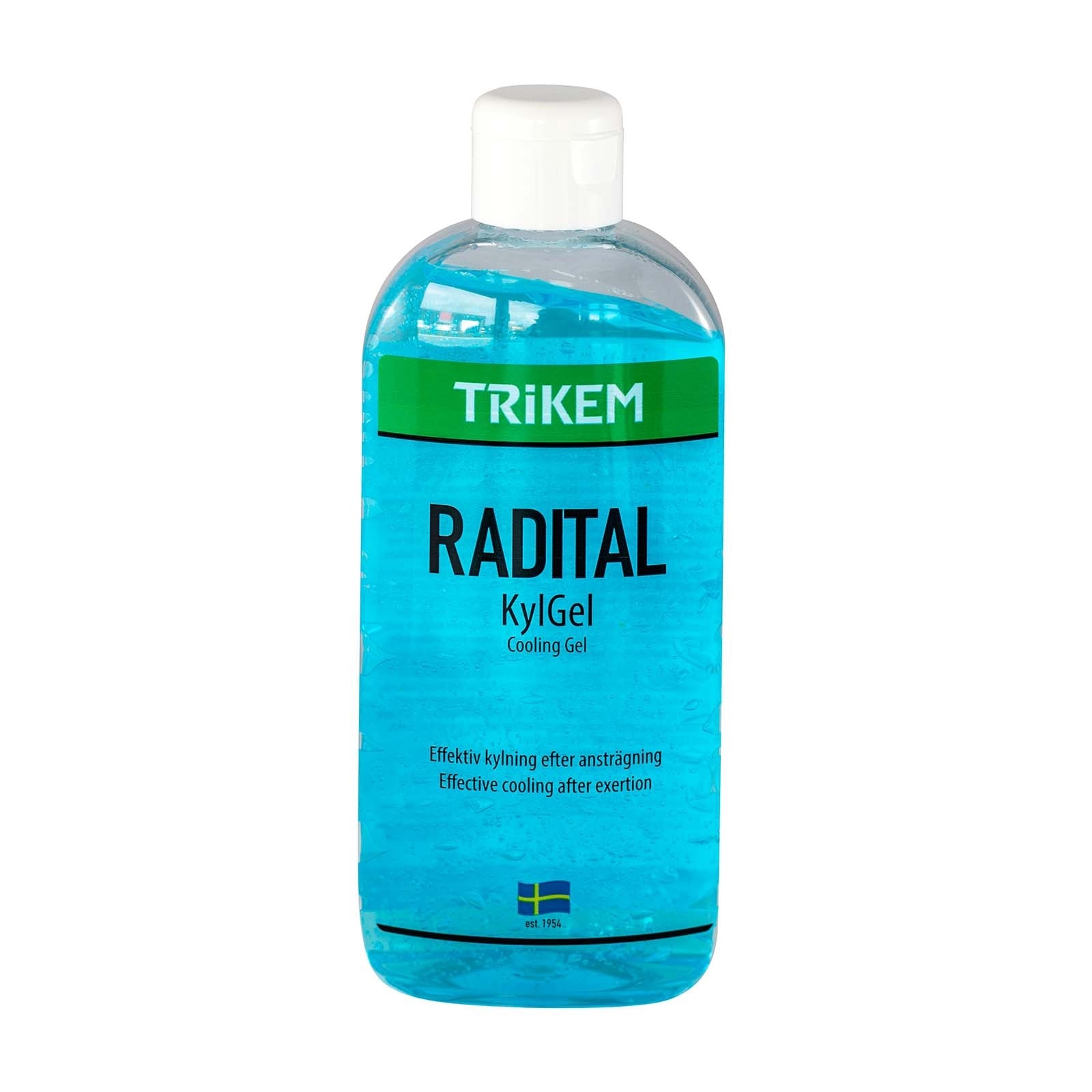 Alt Tag fallback text for IMAGE