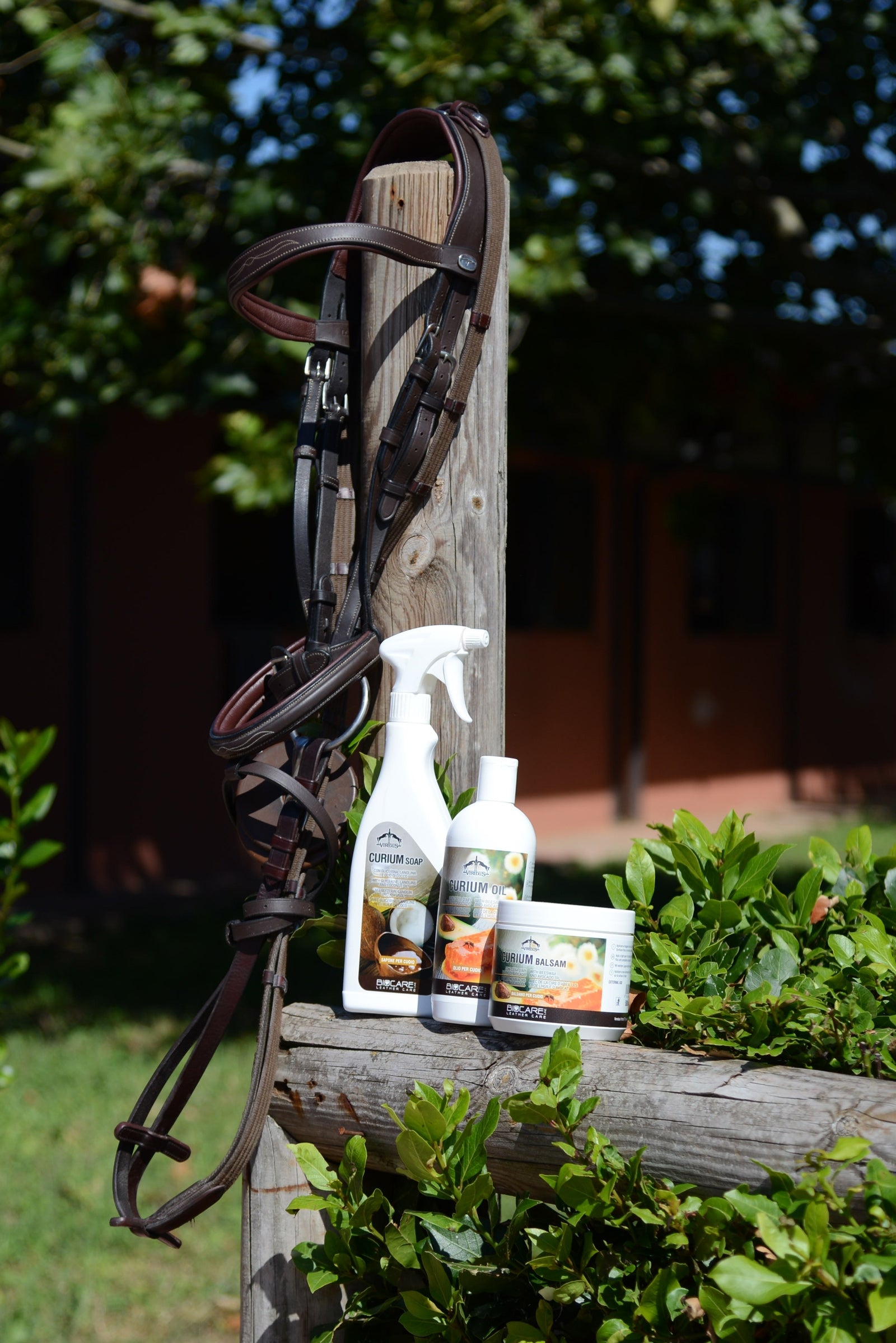 Veredus Curium Balsam, 500 ml Horse Health Care