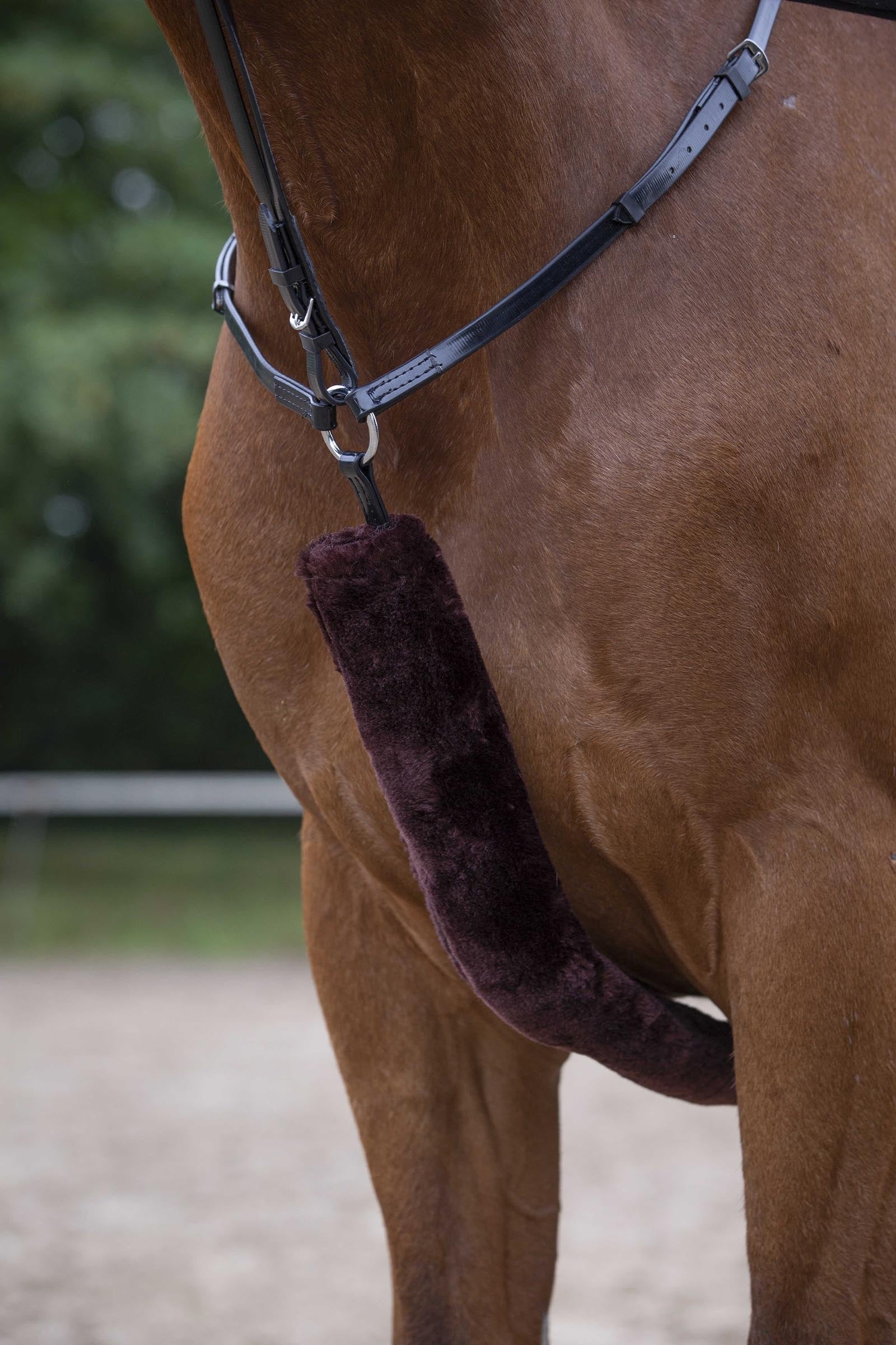 EQUITHÈME Teddy Hunting Breastplate Sleeve Bridles & Reins