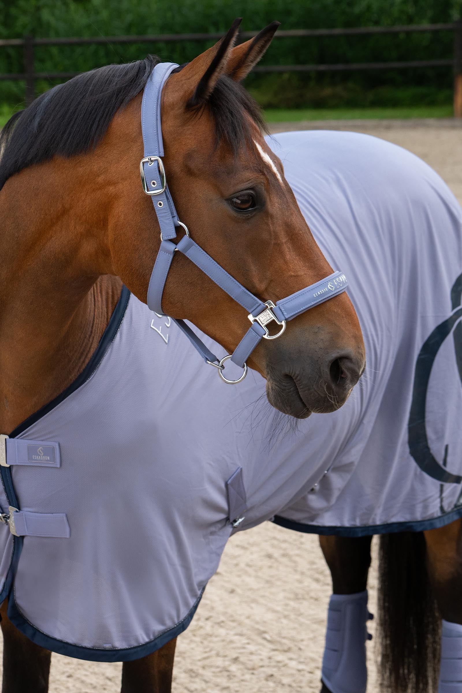 Eskadron Classic Sport SS26 Cooler Fly Rug Horse Rugs