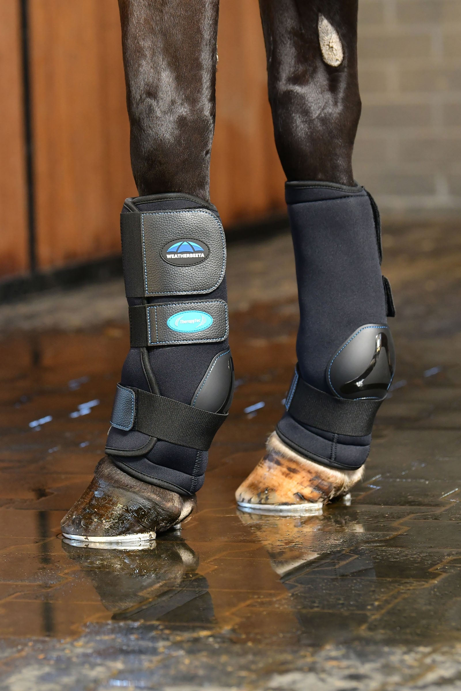 Weatherbeeta Therapy-Tec Ii Ultra Cool Ice Boots Leg & Hoof Protection