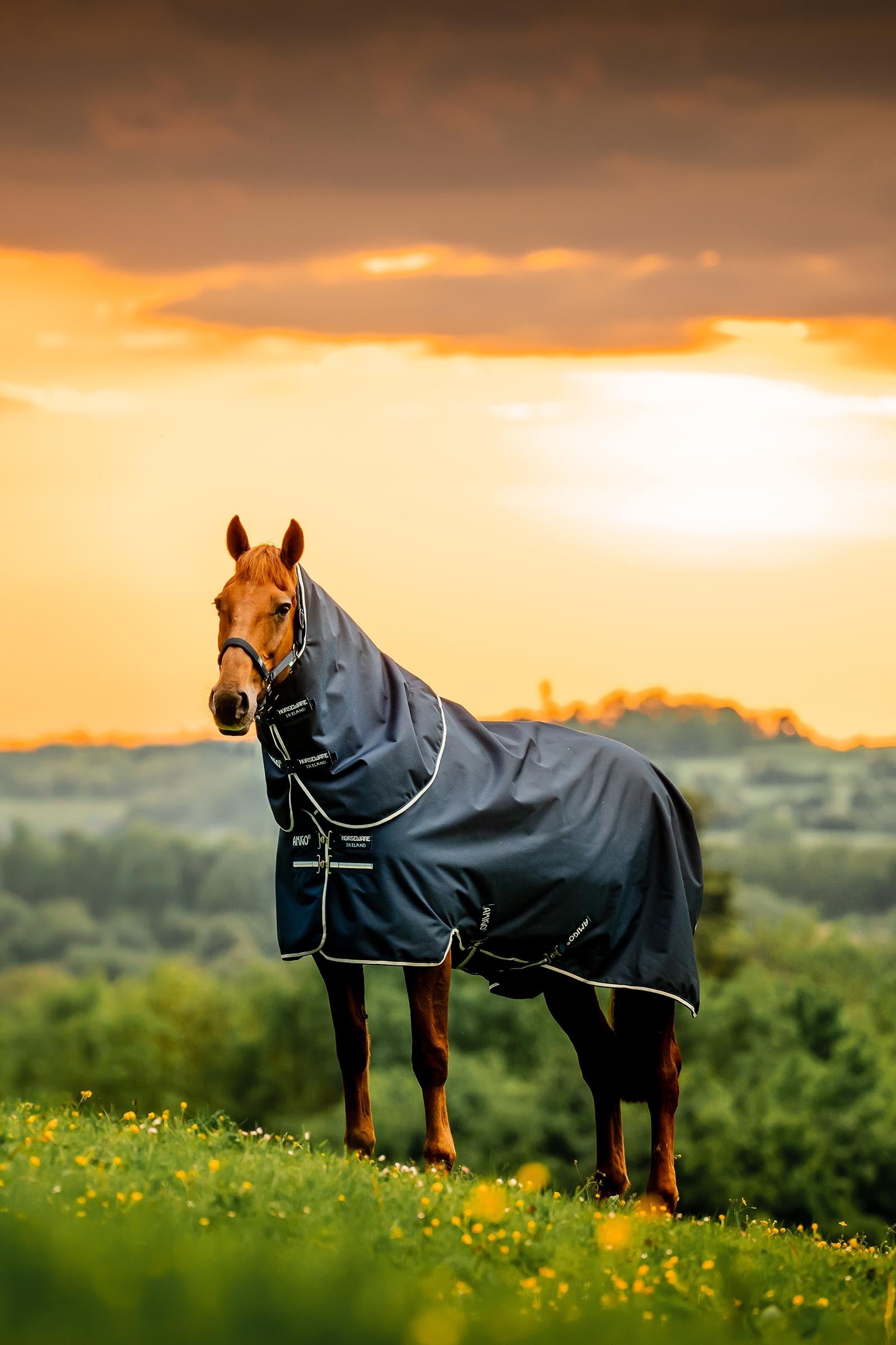 Horseware Amigo Ripstop 900D Plus Turnout Rug With Detachable Neck, 0 g Horse Rugs