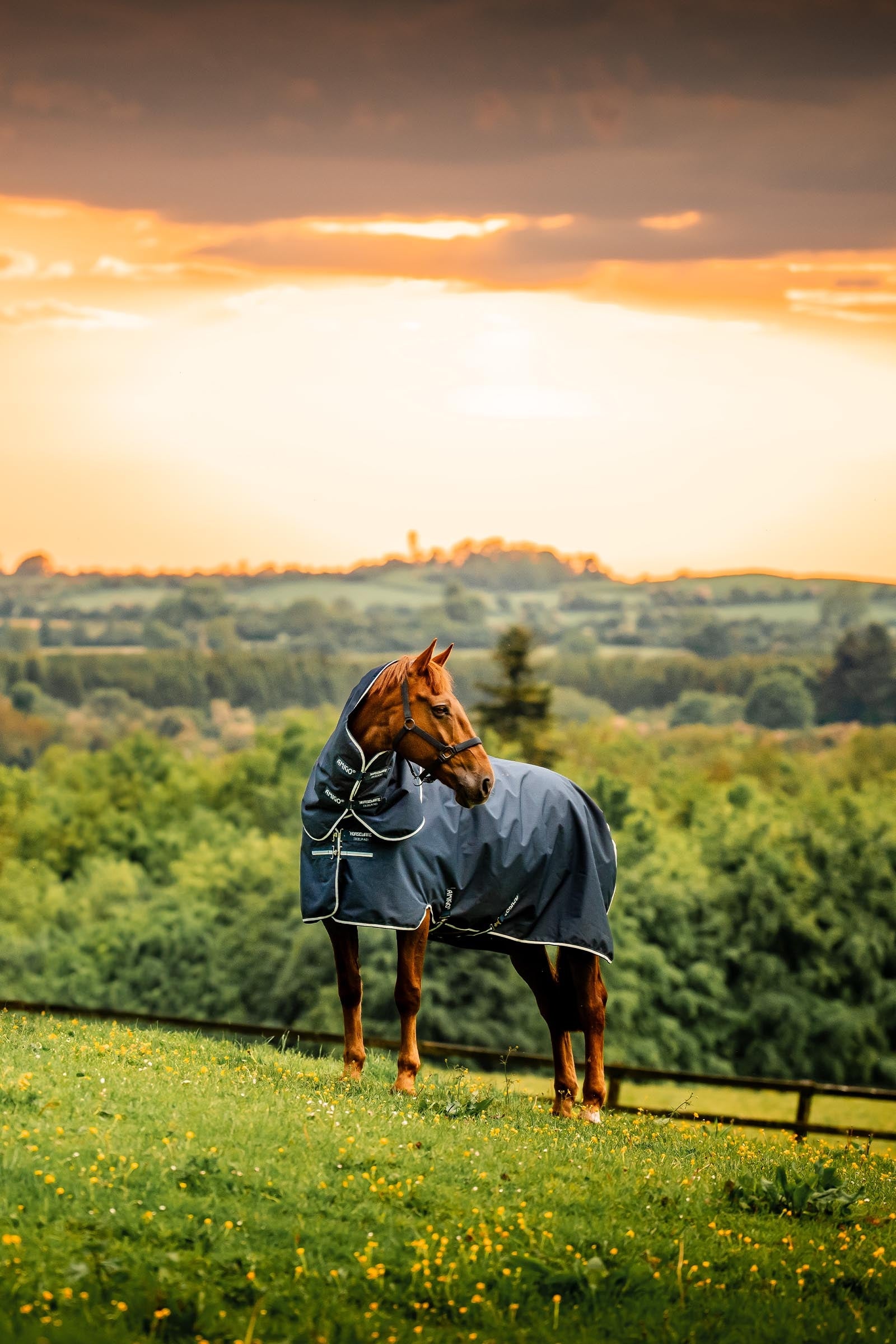 Horseware Amigo Ripstop 900D Plus Turnout Rug With Detachable Neck, 0 g Horse Rugs