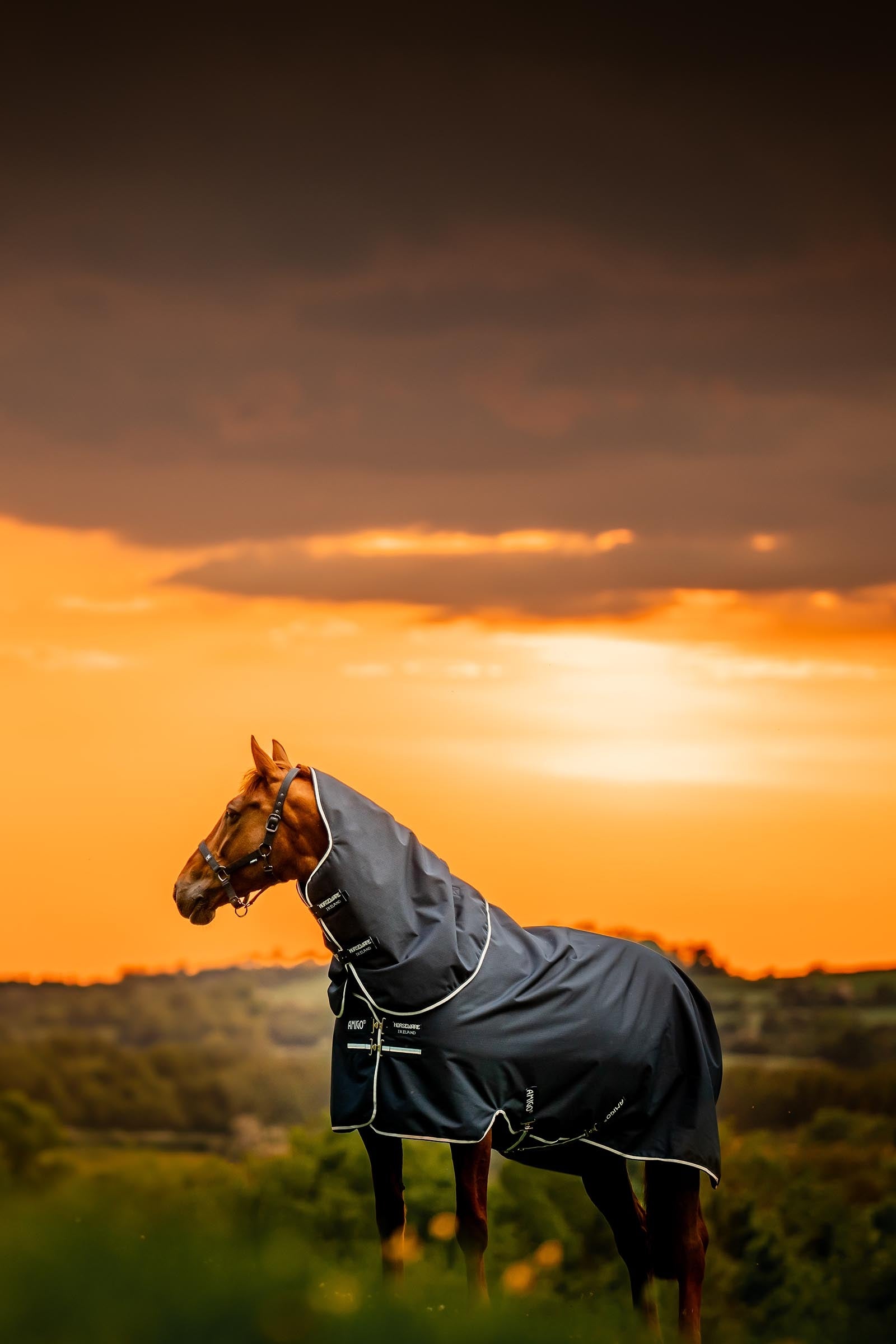 Horseware Amigo Ripstop 900D Plus Turnout Rug With Detachable Neck, 0 g Horse Rugs