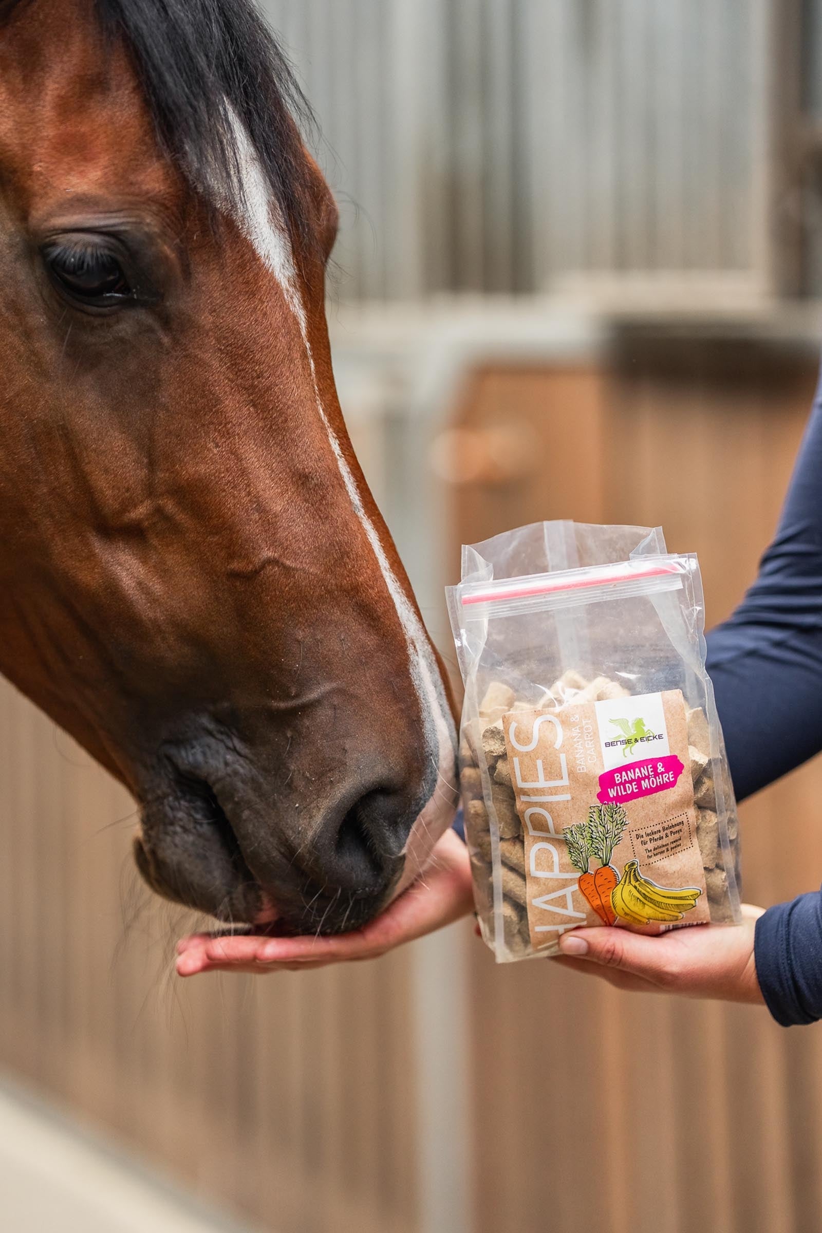 Bense & Eicke Parisol Hestegodt, frukt Horse Feed & Nutrition
