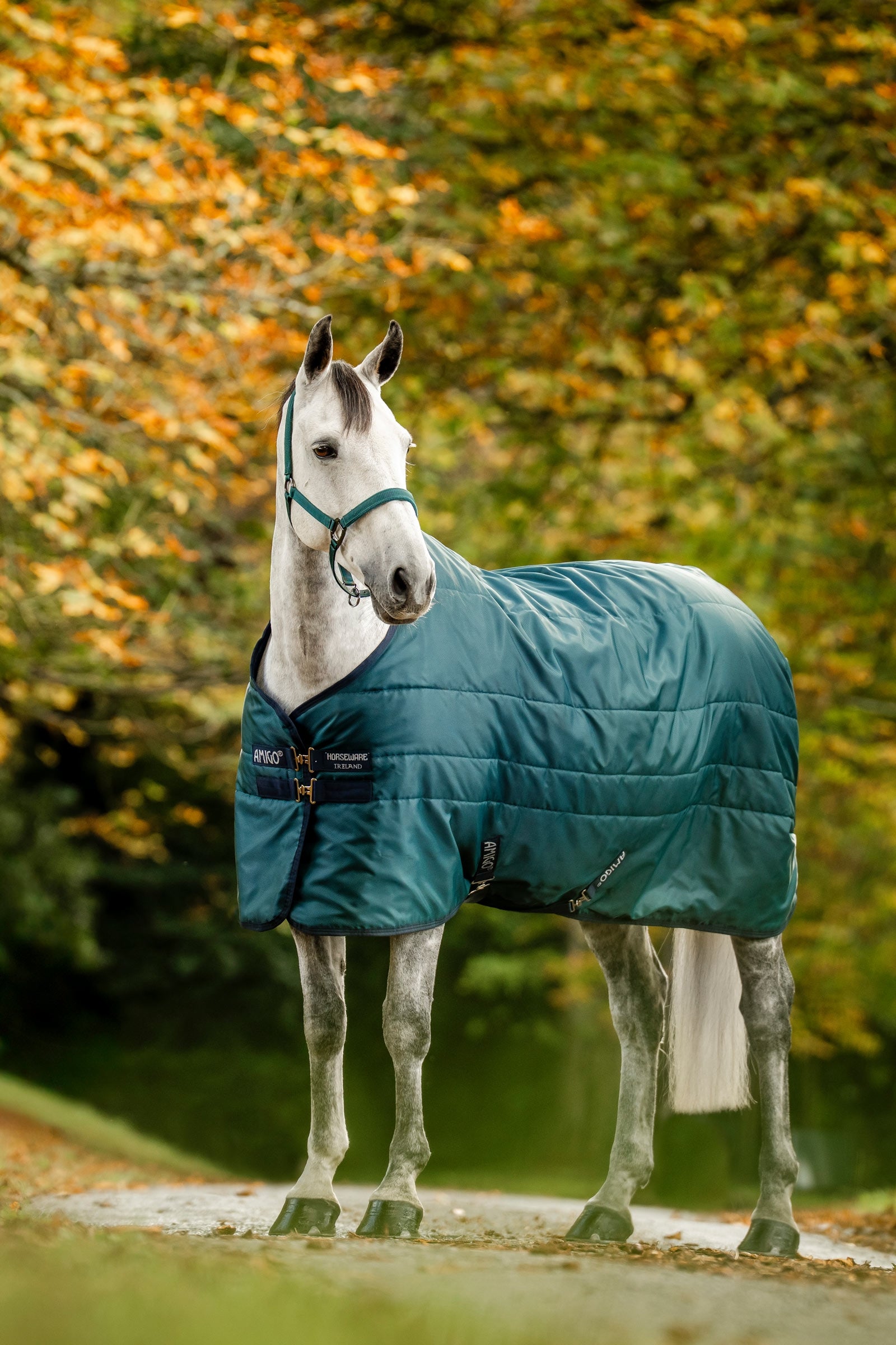 Horseware Amigo Ripstop Insulator Stable Rug, 100 g Horse Rugs