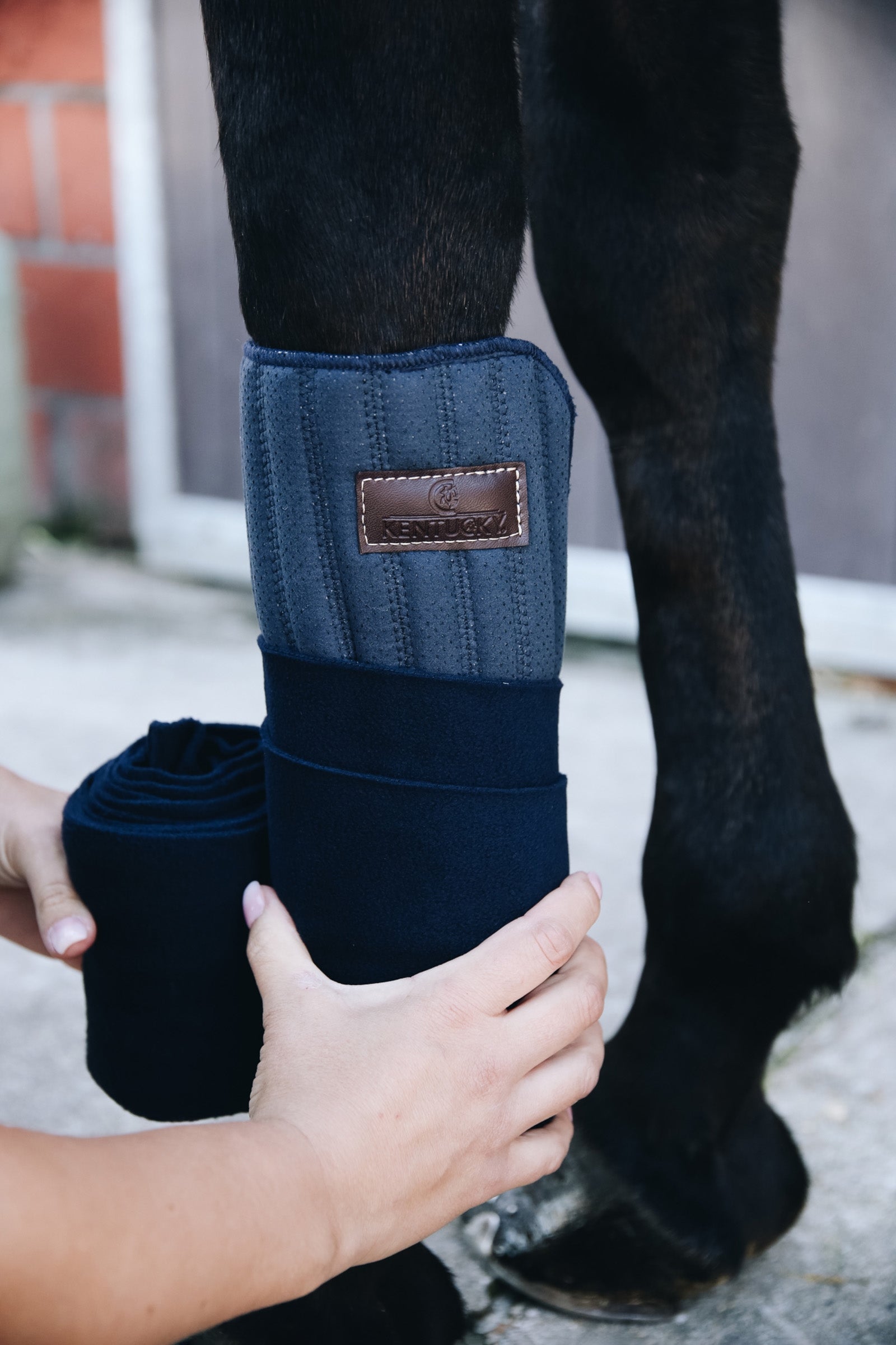 Kentucky Horsewear Absorb leg wraps, 45x30cm Leg & Hoof Protection