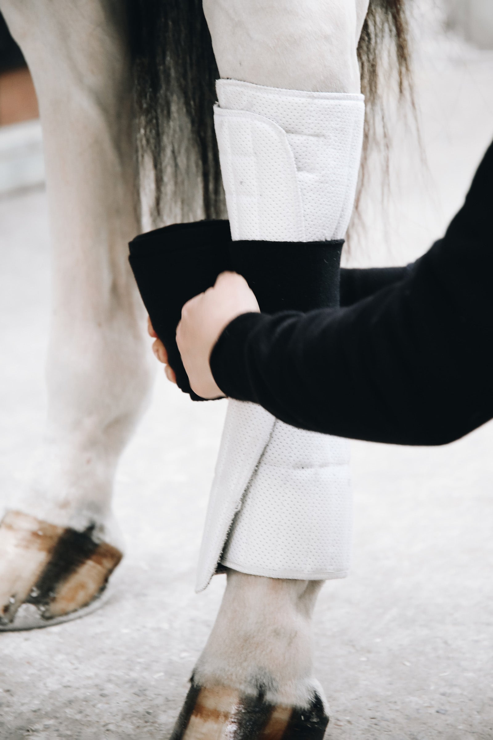 Kentucky Horsewear Absorb leg wraps, 45x30cm Leg & Hoof Protection