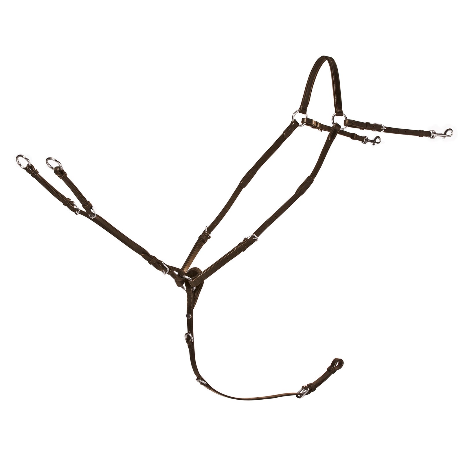 Alt Tag fallback text for IMAGE