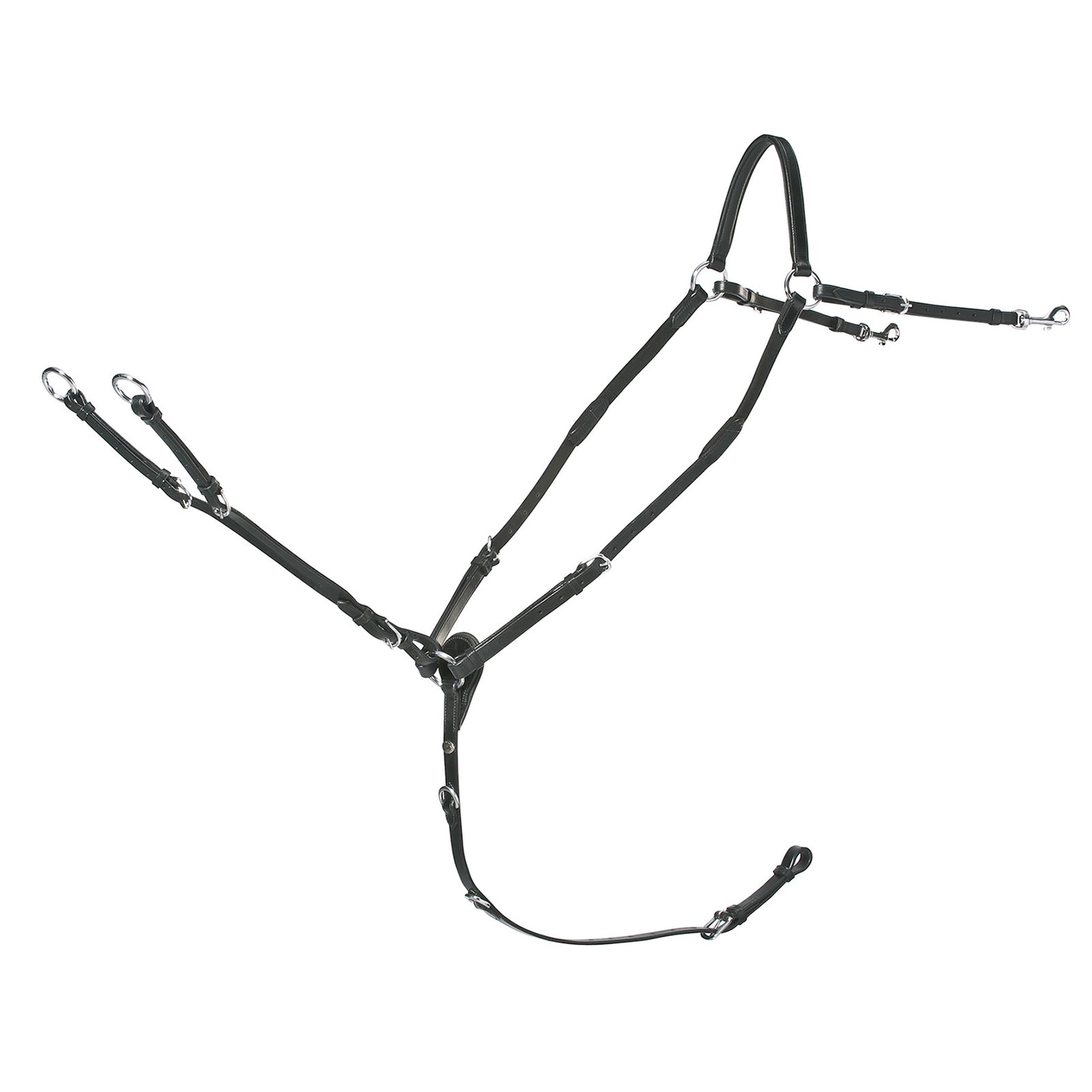 Alt Tag fallback text for IMAGE