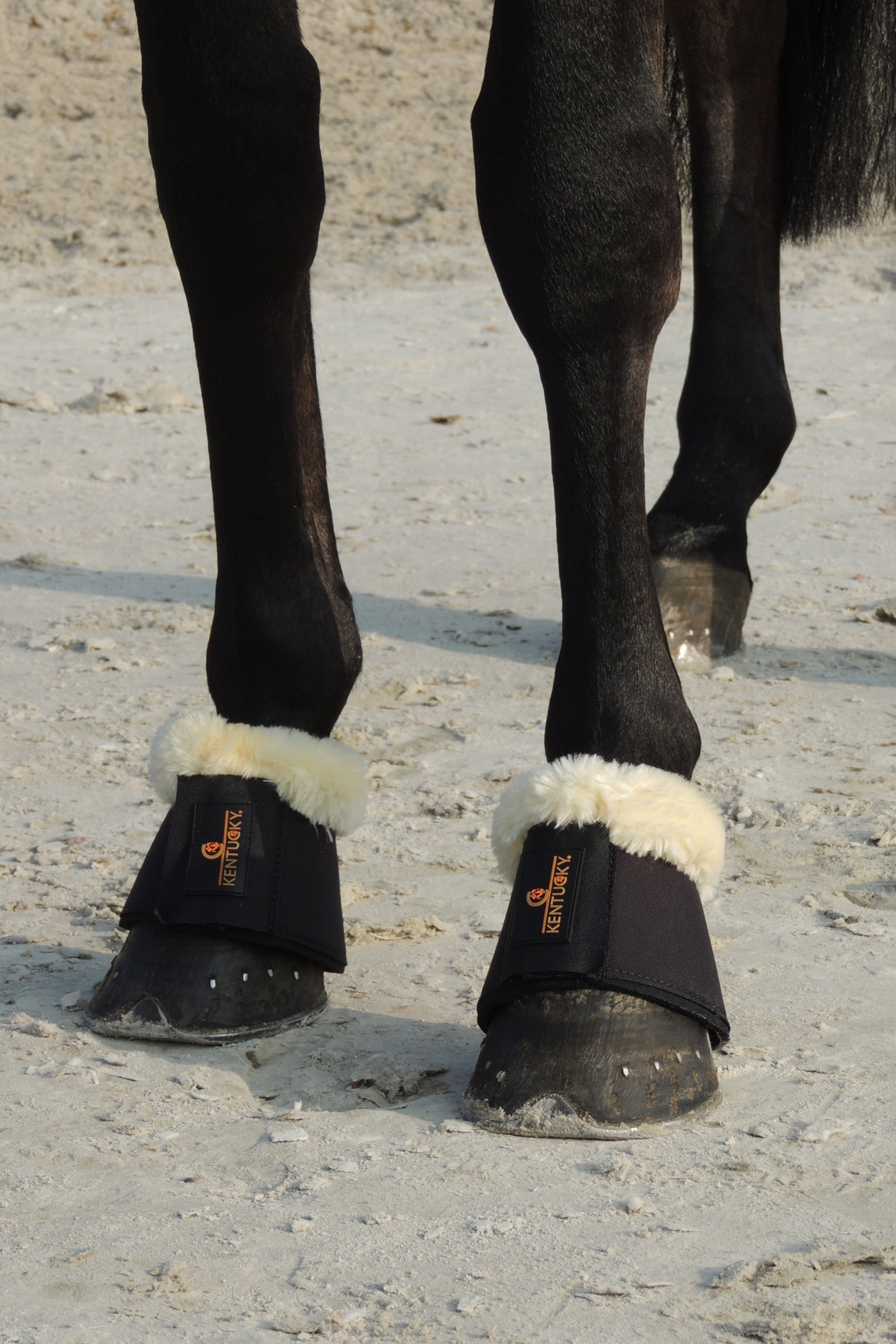 Kentucky Horsewear Sheepskin Overreach boots Leg & Hoof Protection