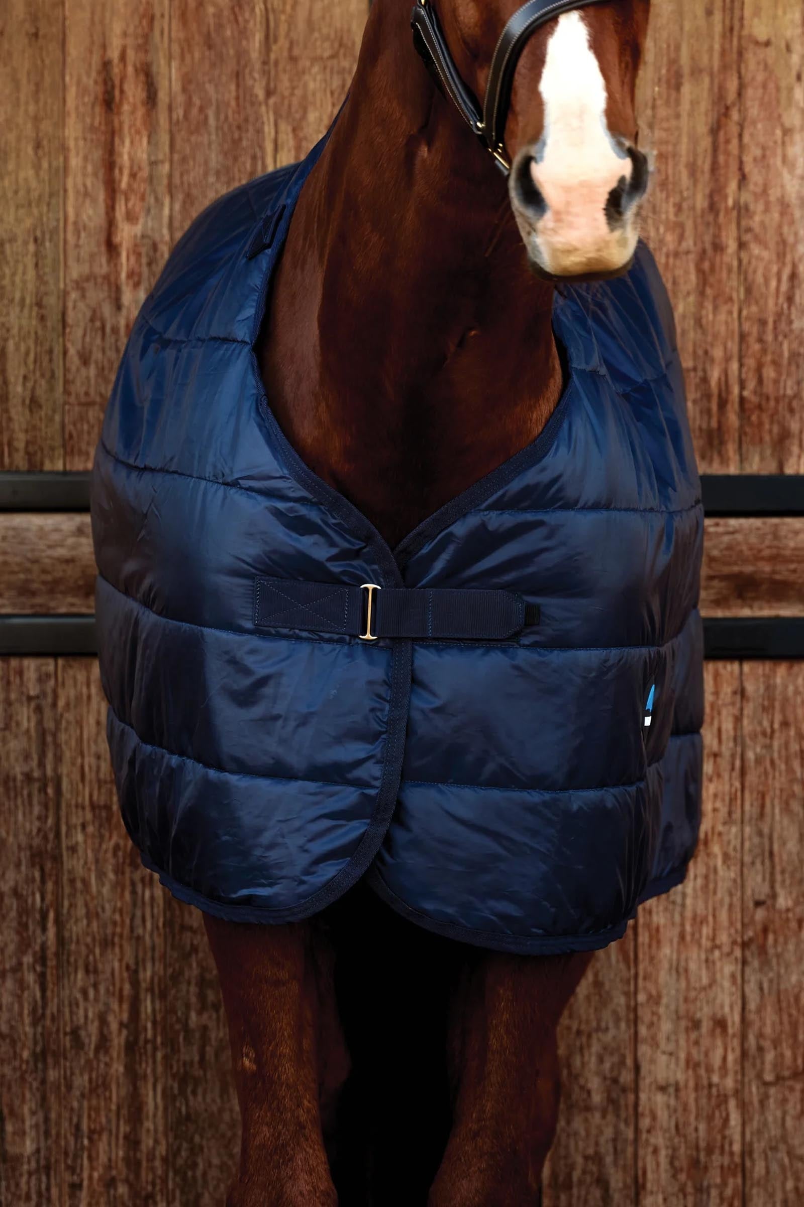 Weatherbeeta ComFiTec Liner 200G Horse Rugs