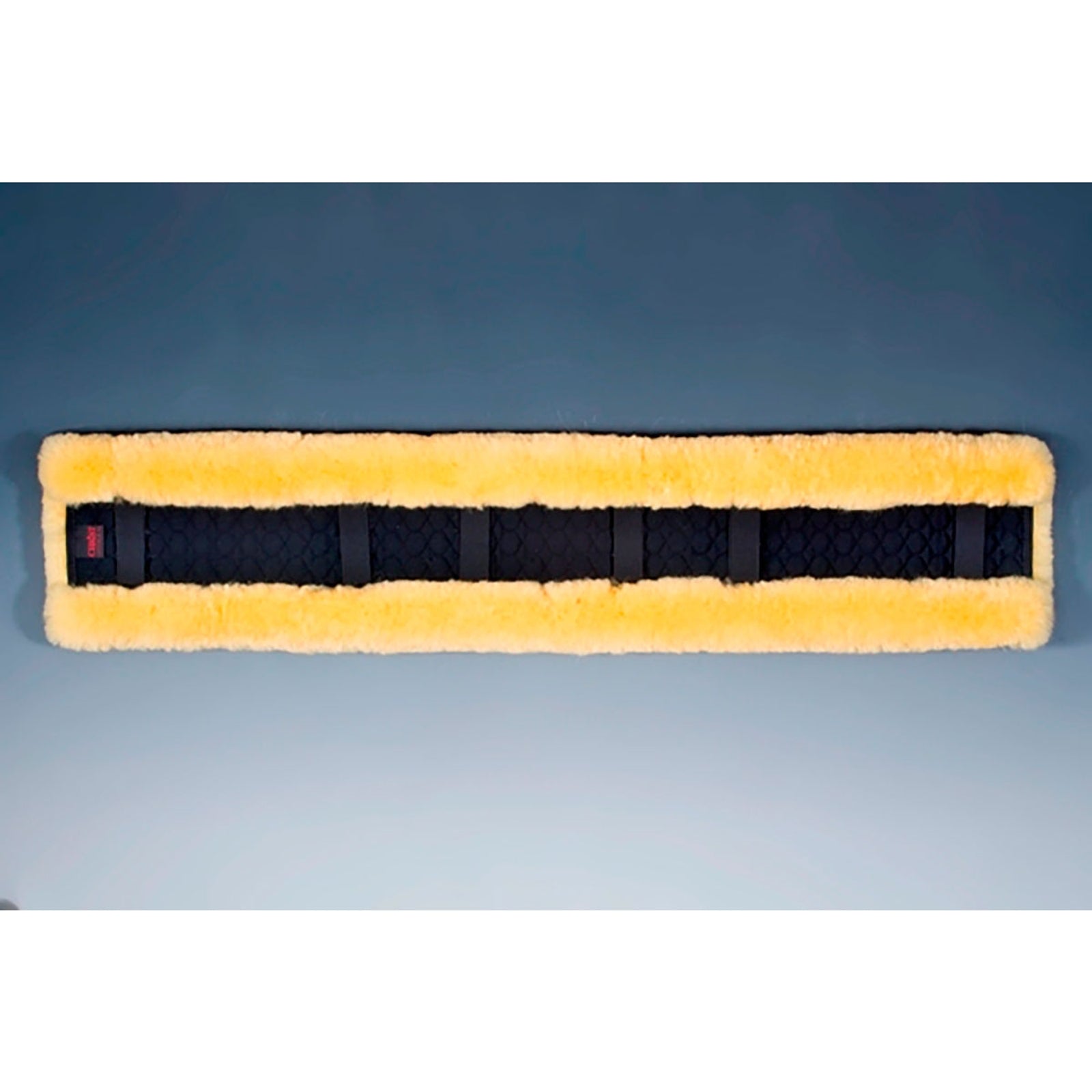 Christ Harness Saddle Cover, 100 Bridles & Reins