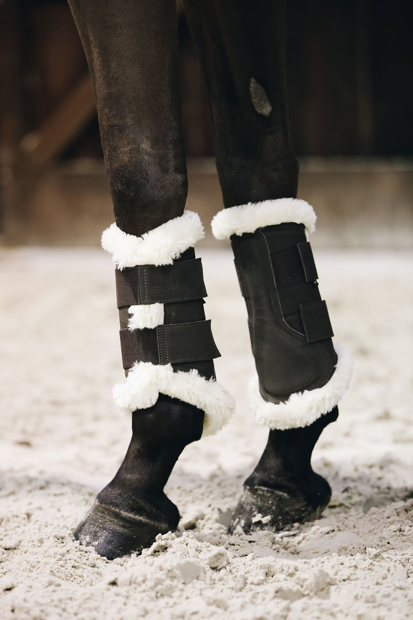 Kentucky Horsewear Turnout AIR boots, hind Leg Protection & Hoof Protection for Horses